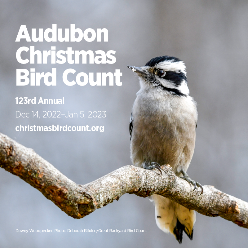 Cheney Christmas Bird Count