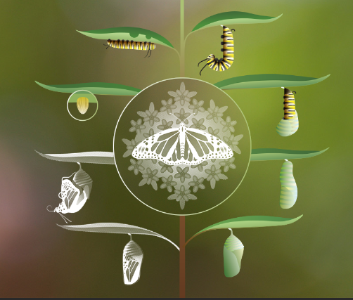 September General Meeting (Zoom only)