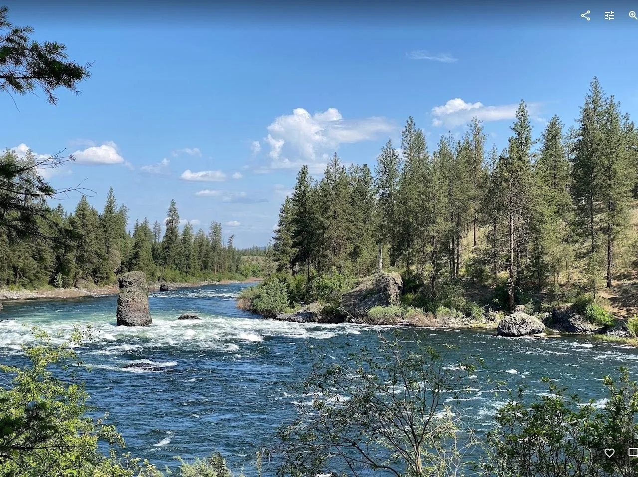 The Pygmy Owl - October 2023