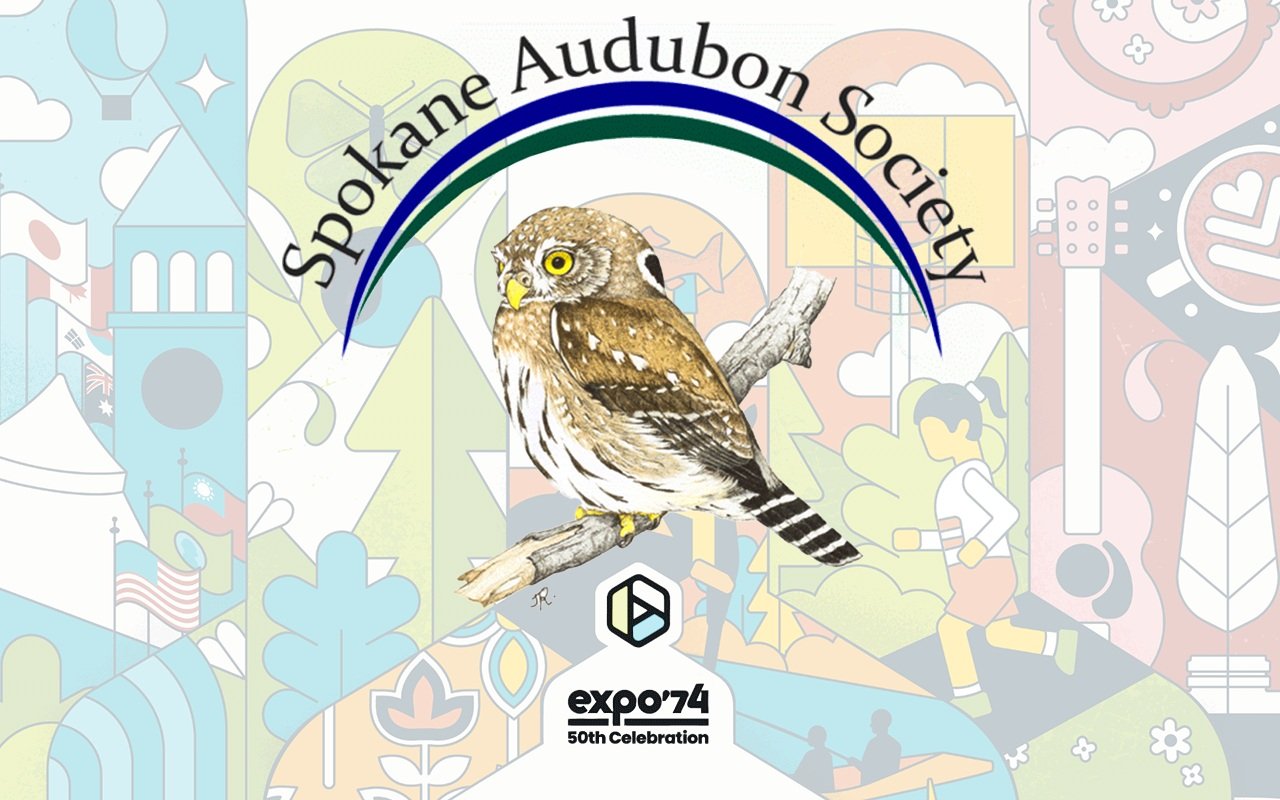 EXPO Celebration Bird Walk at Mt Spokane