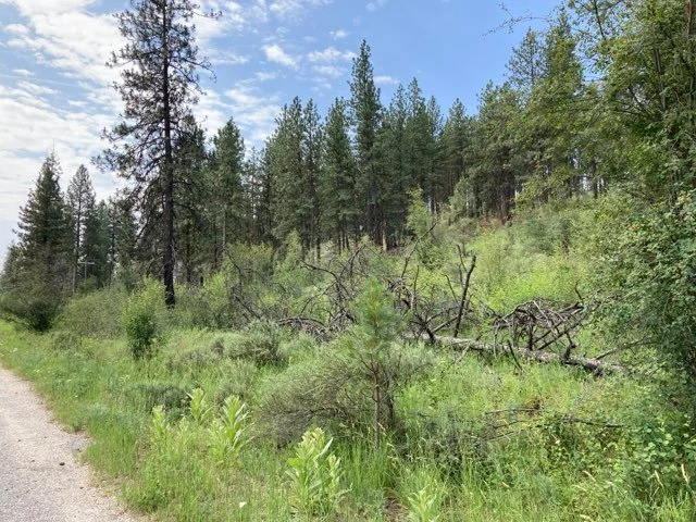 Sherman Creek Wildlife Area Conservation Survey Training