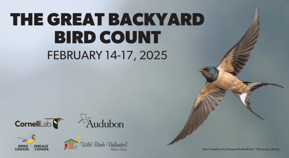 Great Backyard Bird Count