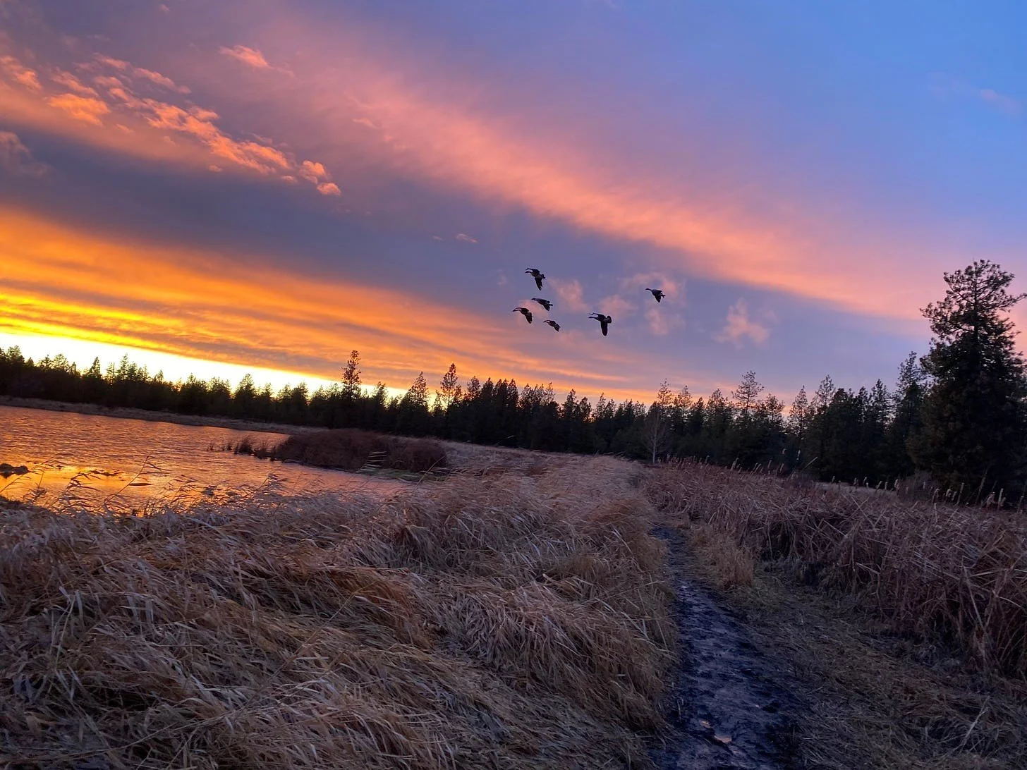 Slavin Conservation Area Birding Hike