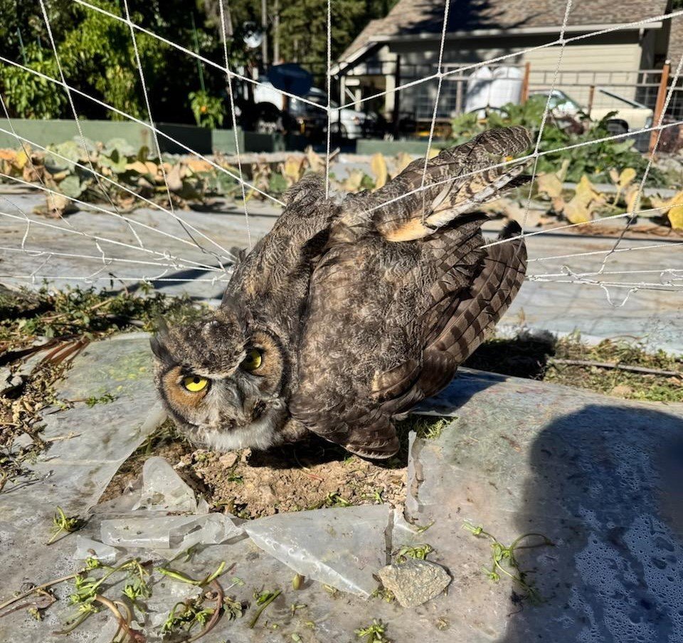 April 2025 Monthly Meeting and Program