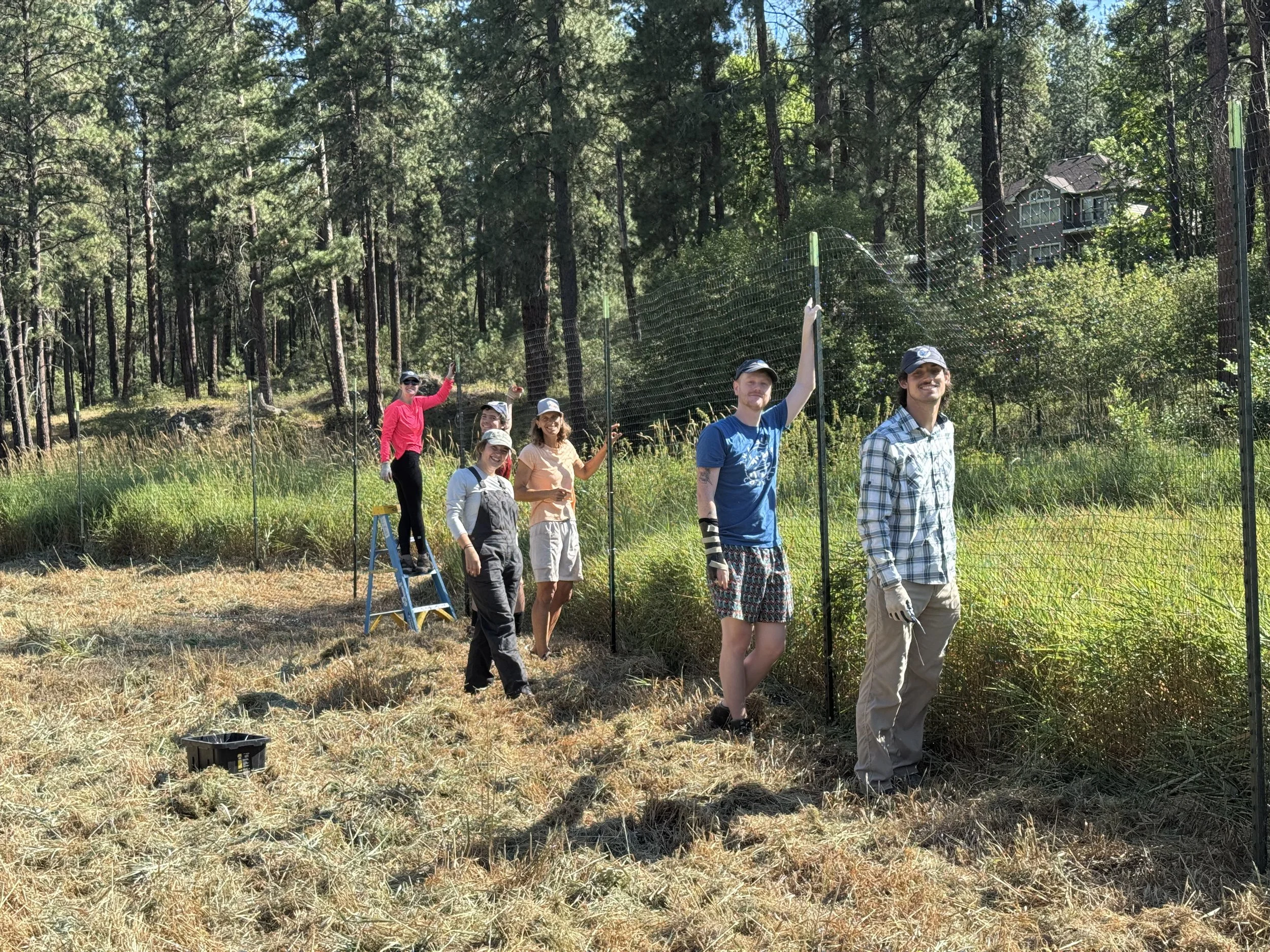 Little Spokane River Restoration project 