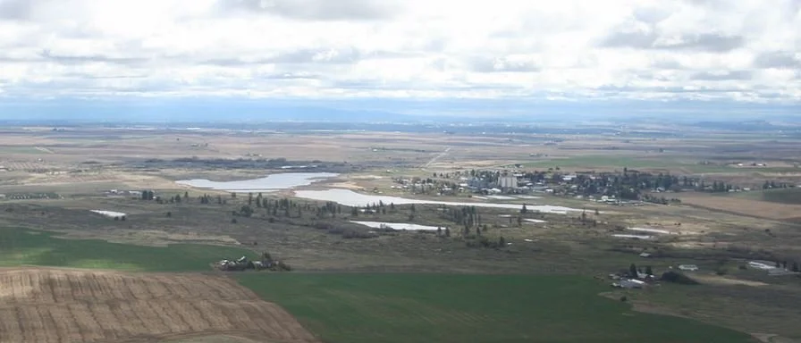 Spring Migration at Reardan Audubon Lake