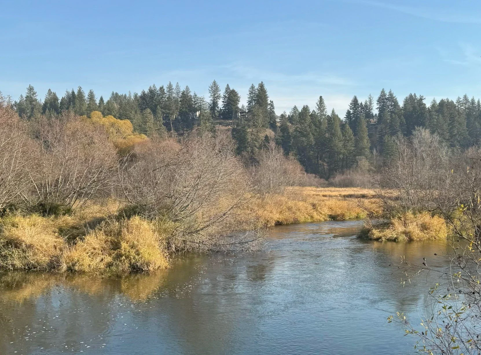 Waikiki Springs Field Trip