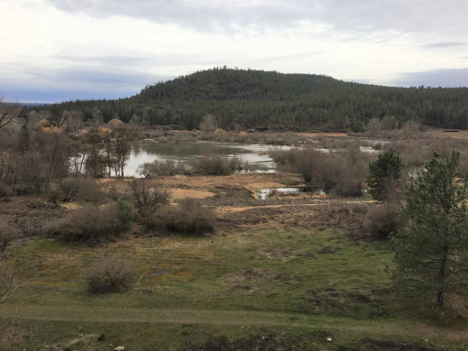 Swanson Lakes Wildlife Area Restoration Project