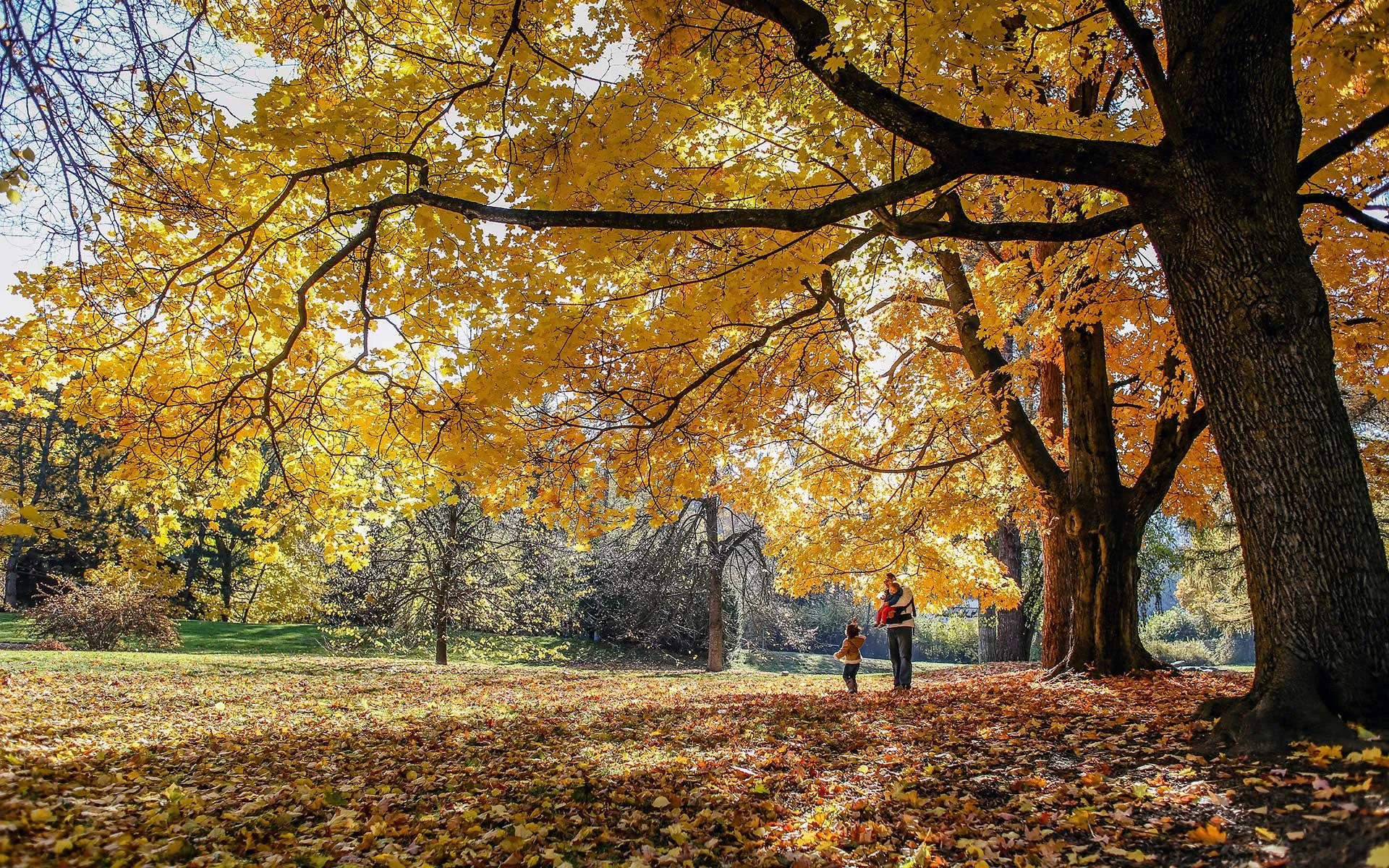 Fall Leaf Festival 