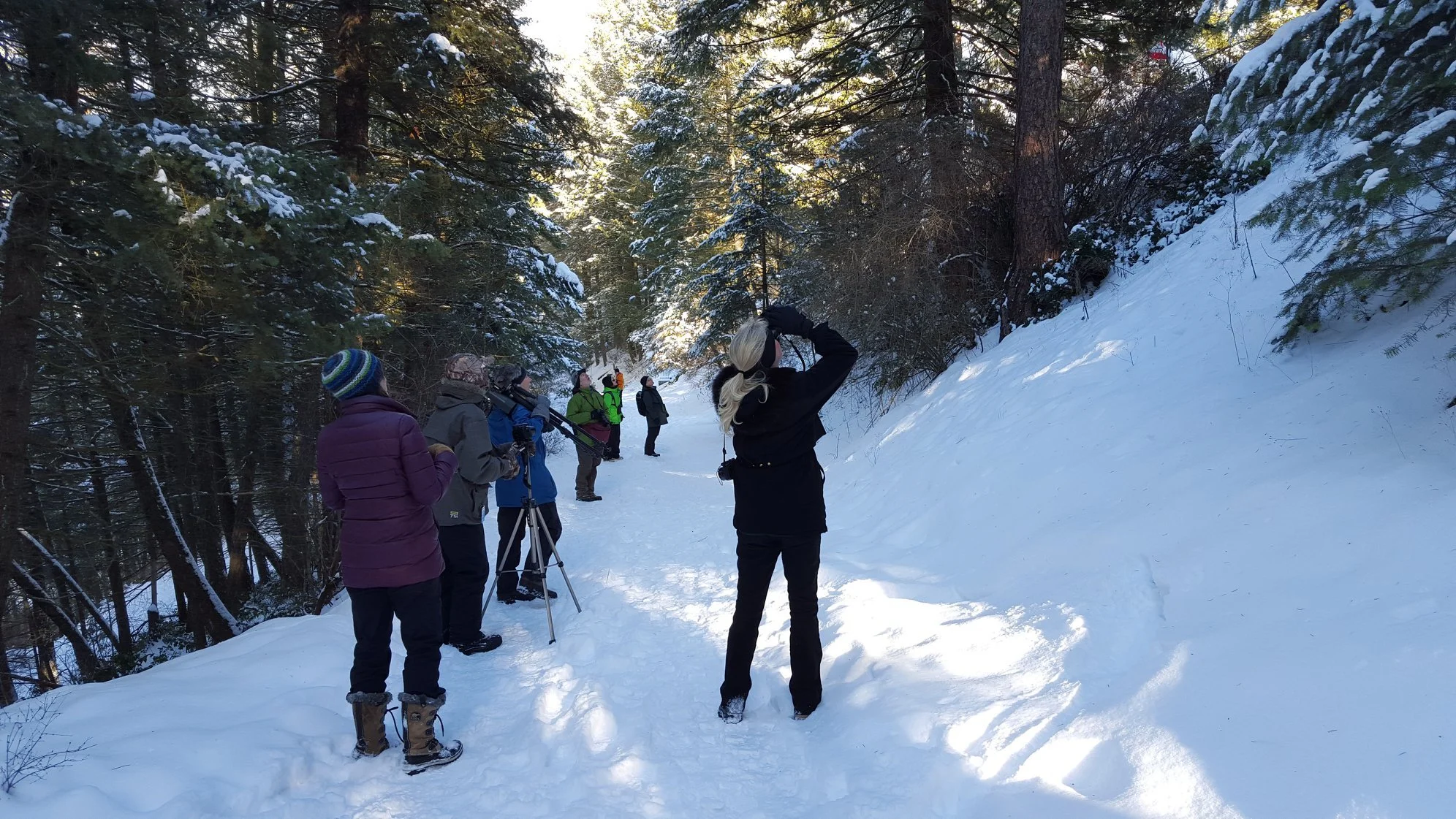 Spokane Christmas Bird Count