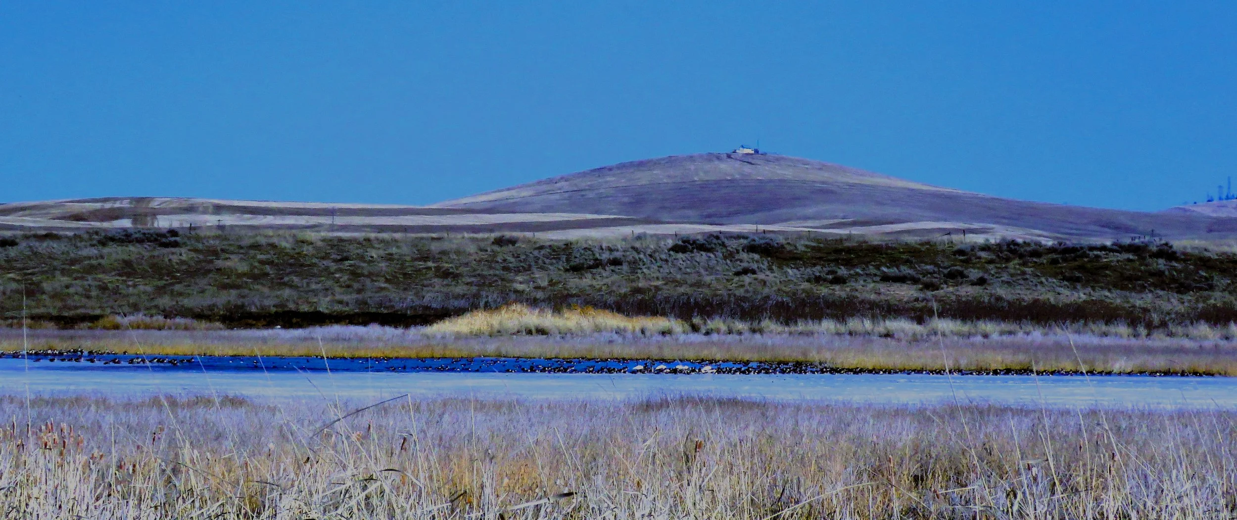 Reardan Audubon Lake Wildlife Area Bird Walk &amp; Member Memorial Dedication