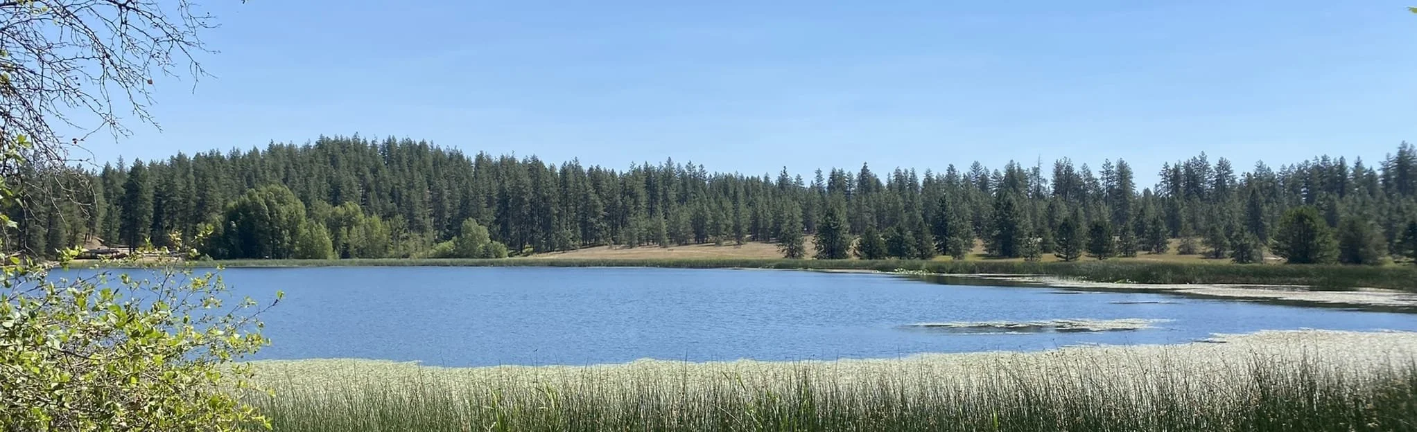 Bear Lake Bird Walk