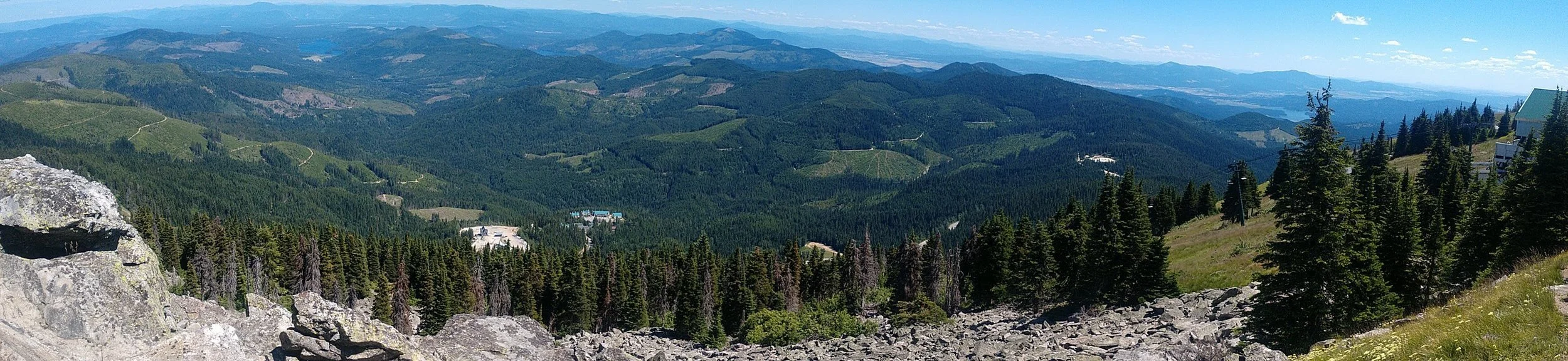 Birding and Watercolor at Mt. Spokane