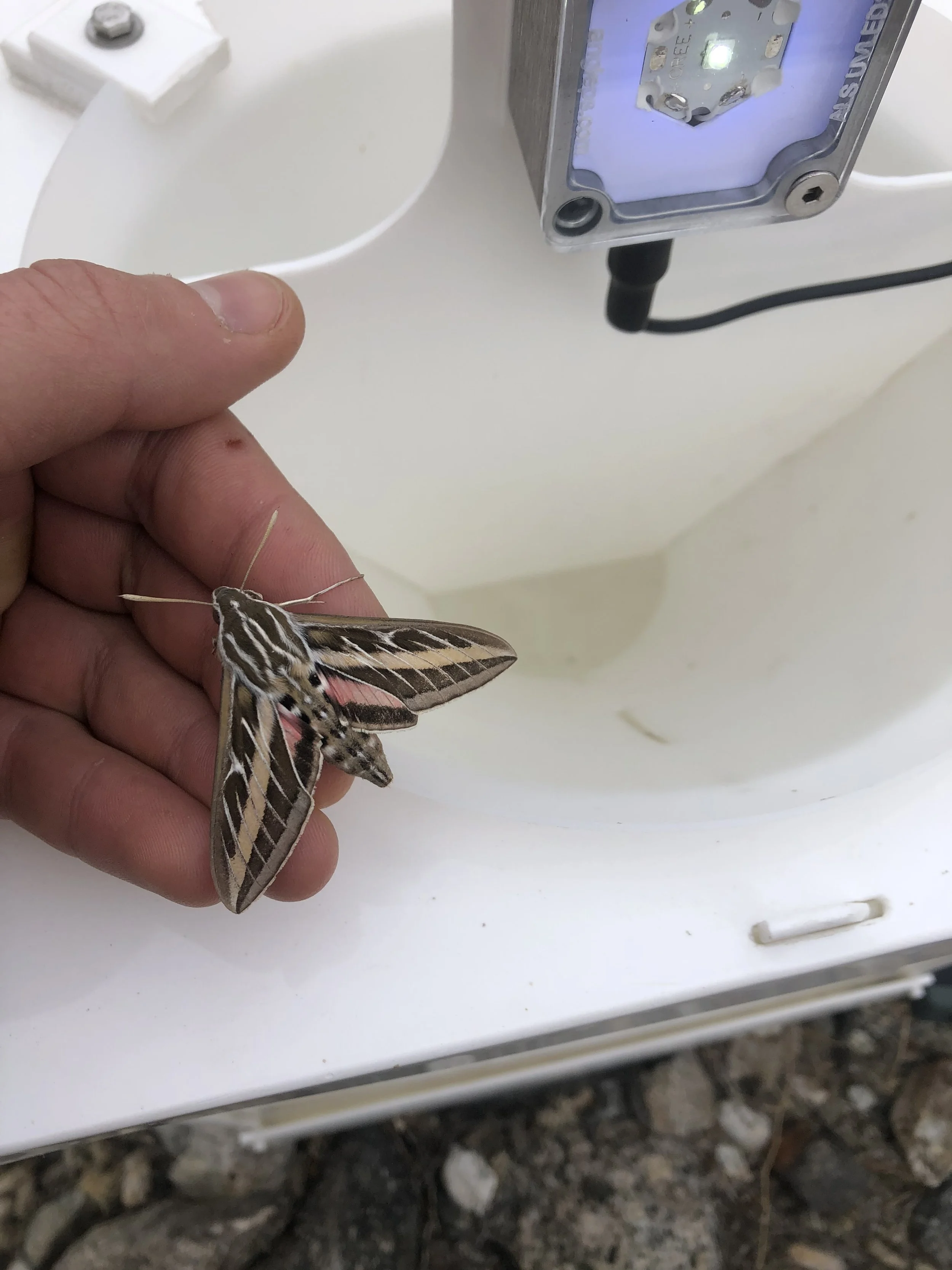 November 2025 Monthly Meeting and Program