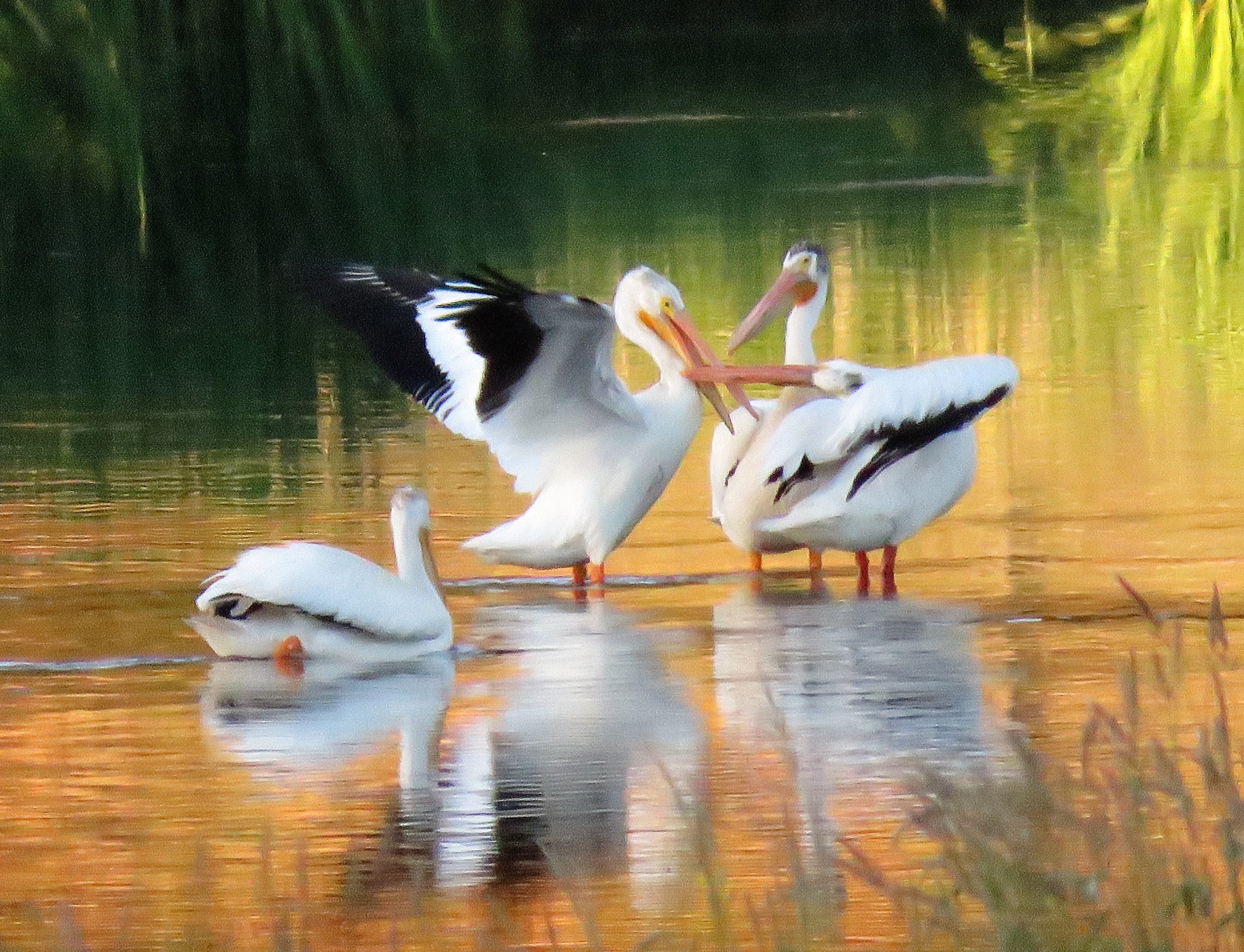 L/C Valley Overnight Field Trip