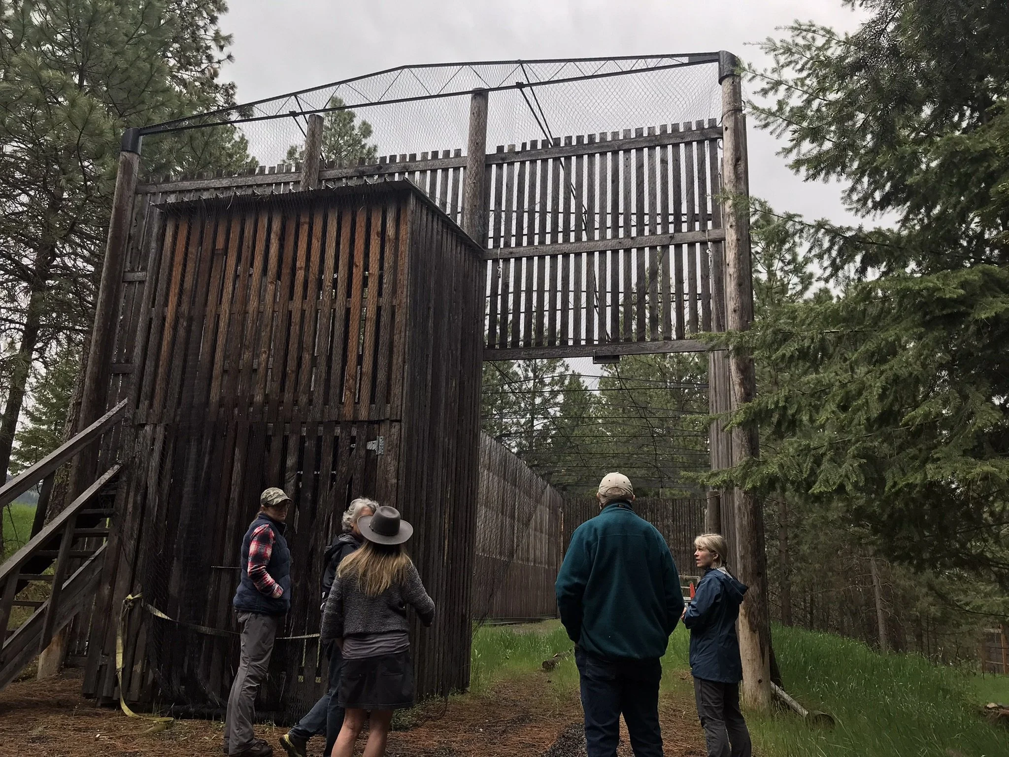 Birds of Prey Northwest Damaged in Windstorm