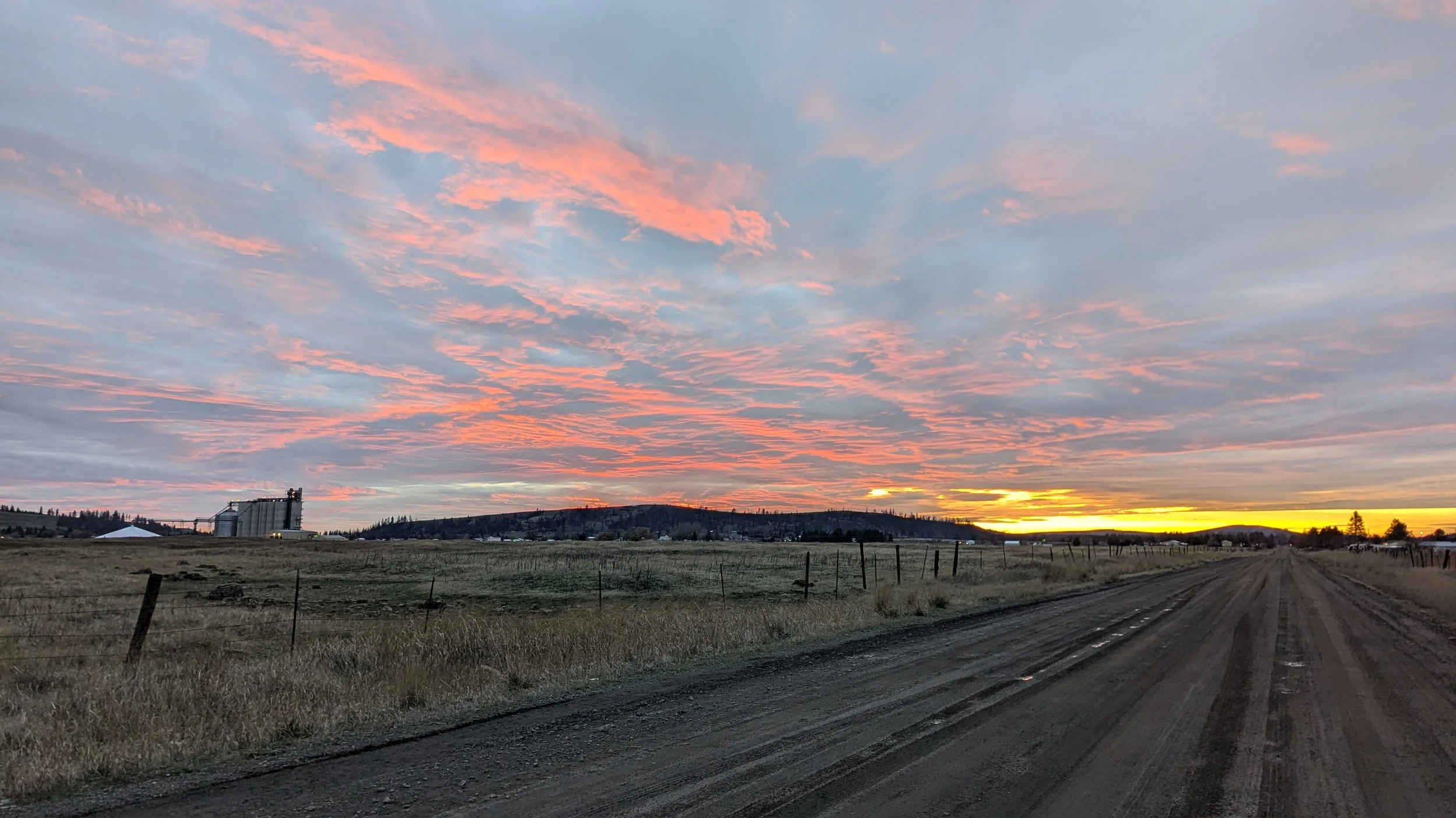 Cheney Christmas Bird Count (12/14/2025)