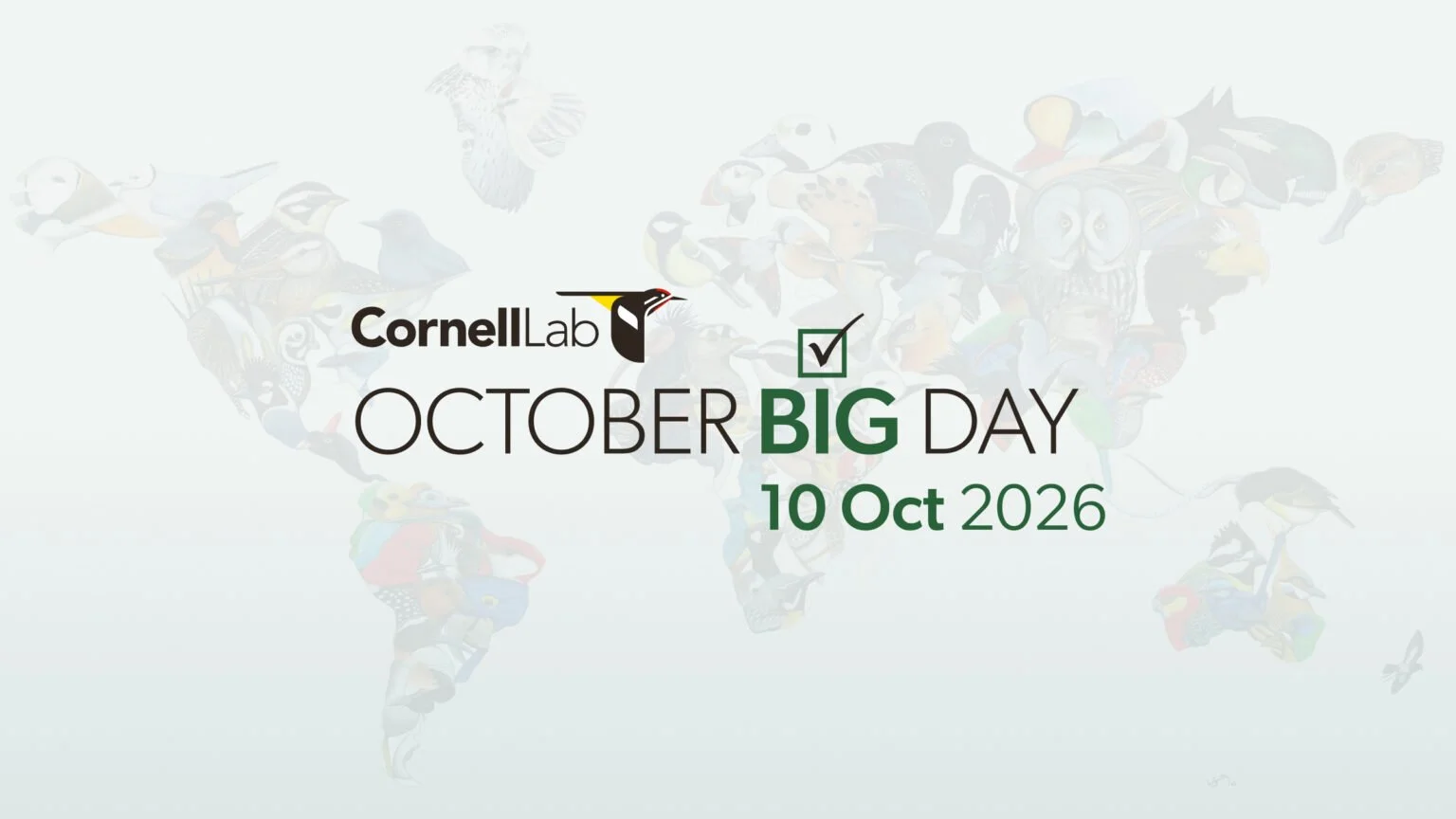October Big Day