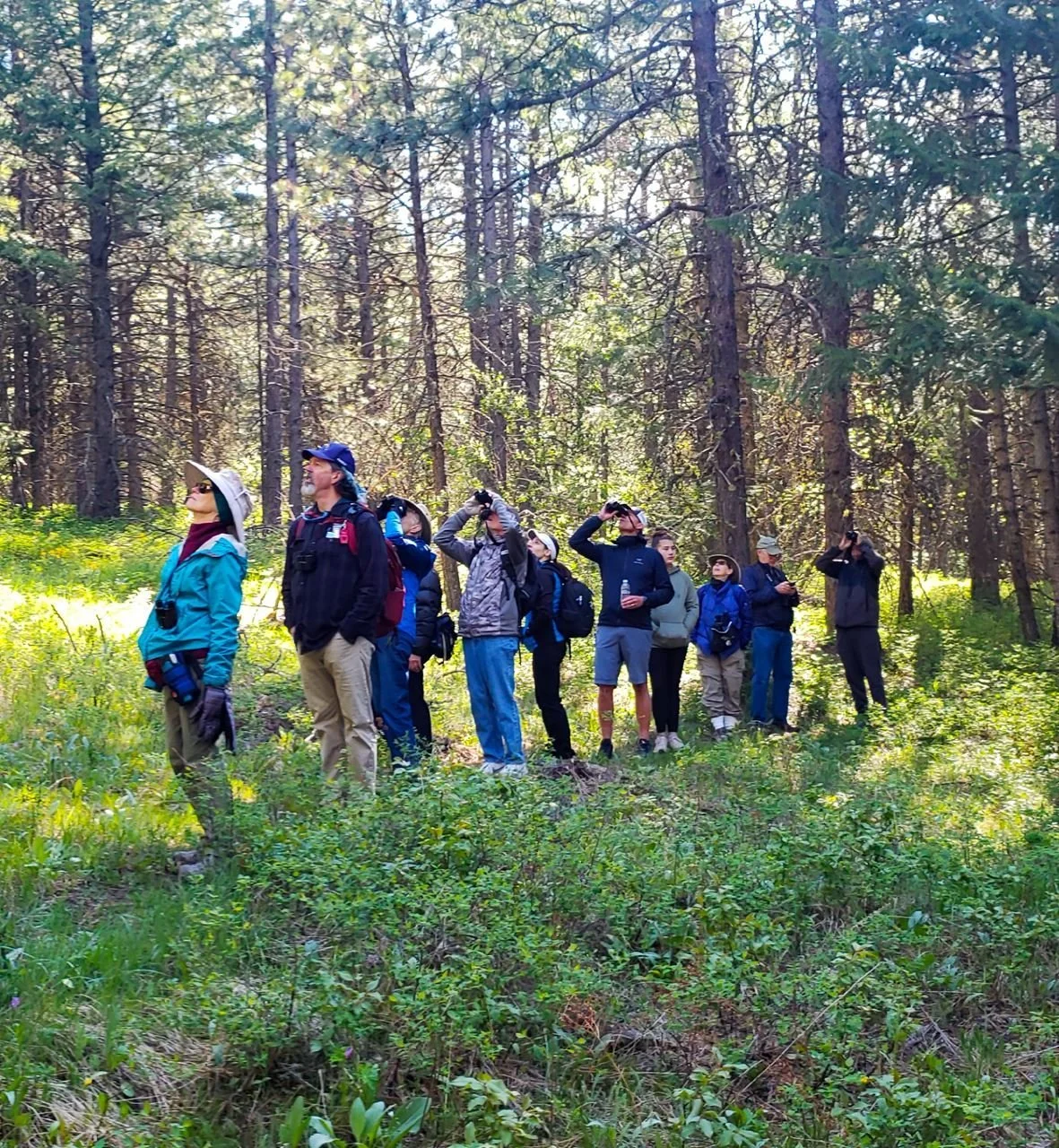 Birding the Wilson Conservation Area with Jon Isacoff