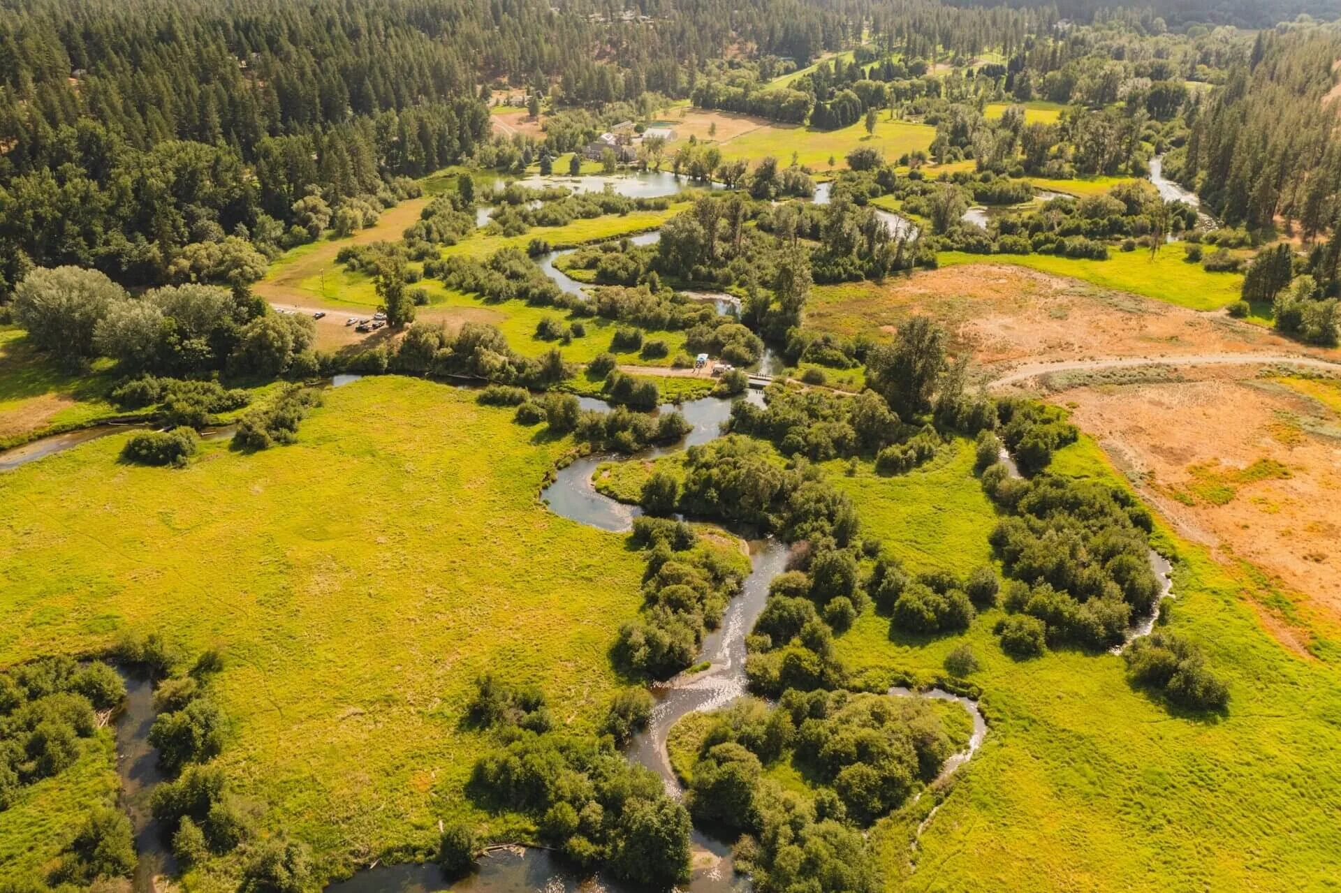 Seasonal Bird Walk at Glen Tana with Inland Northwest Land Conservancy