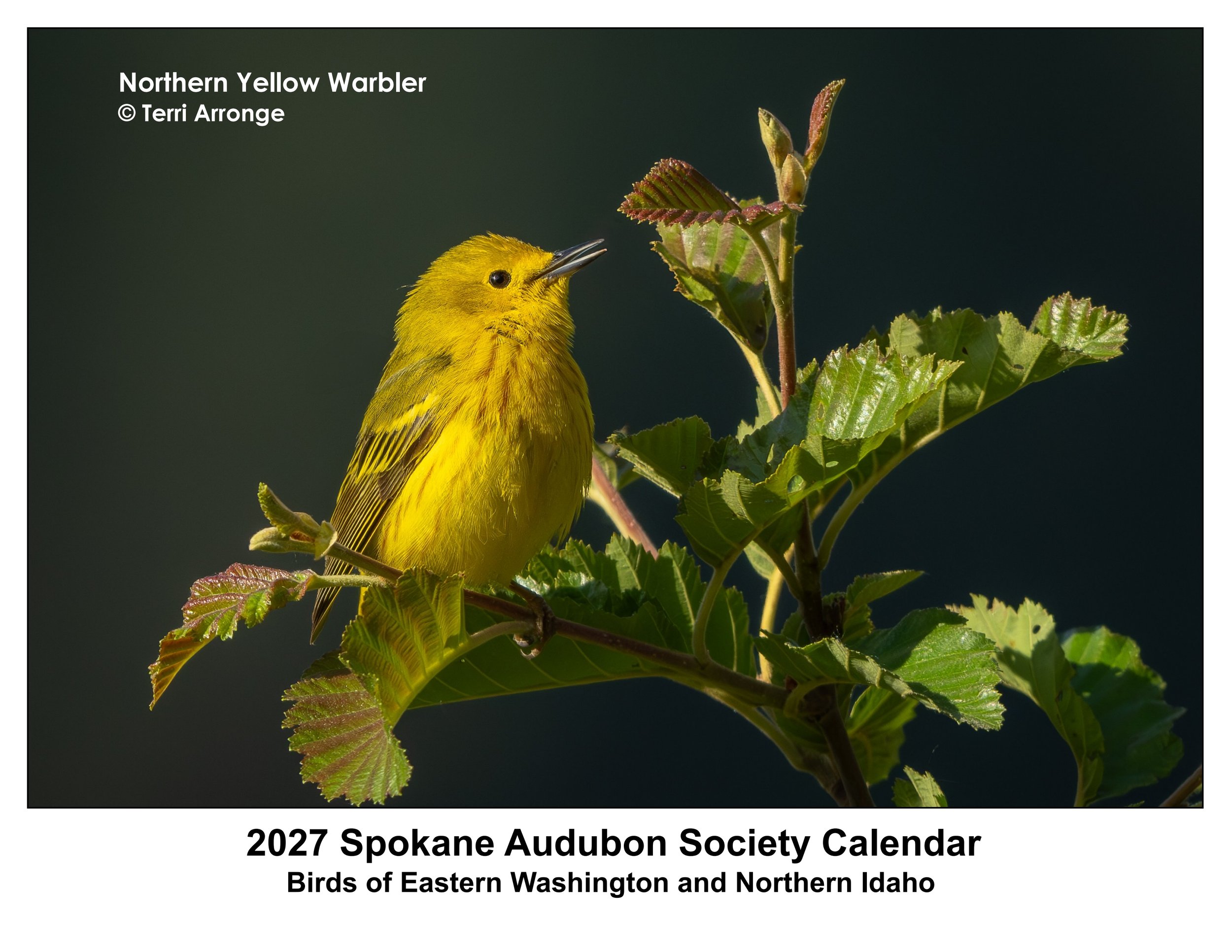 SAS_2027_calendar_first_&_last_pages_1.jpg