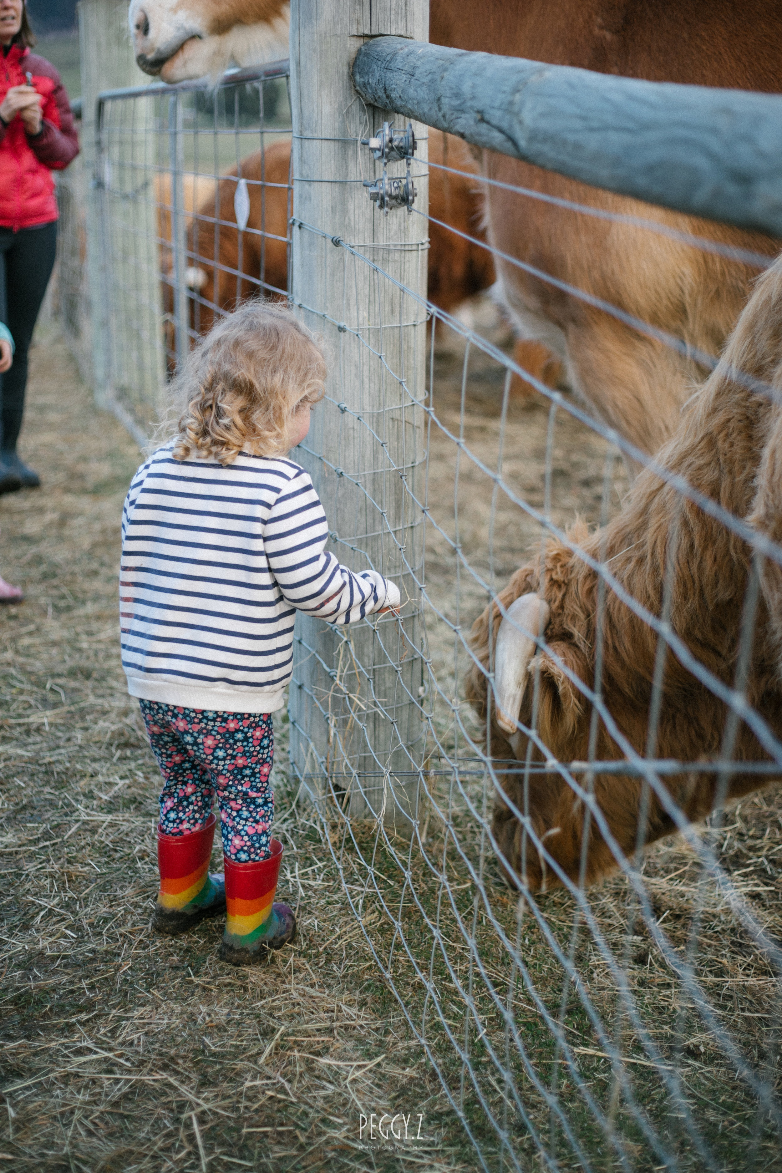 mid-winter fest-15.jpg
