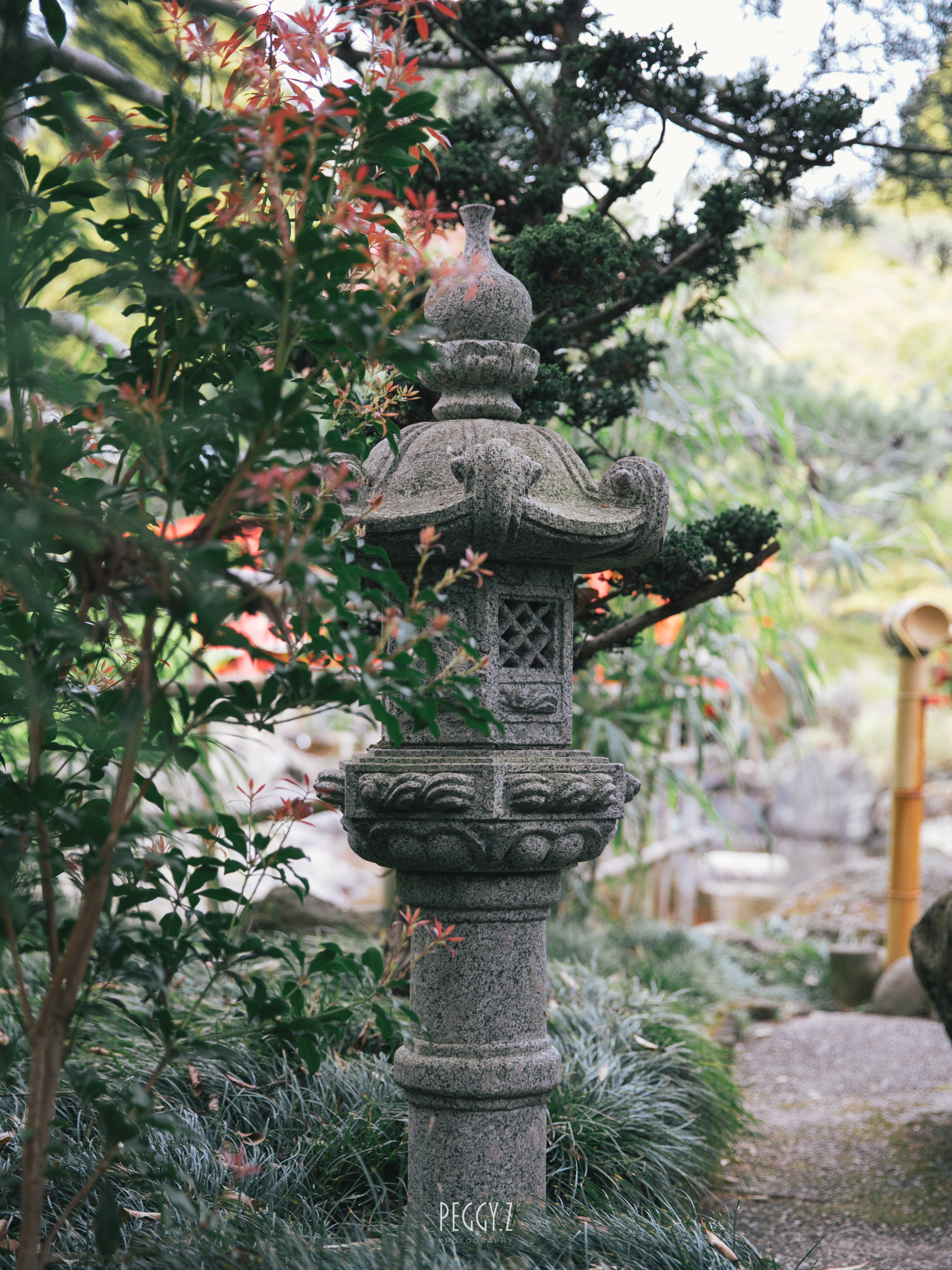 GB4A7358.jpg