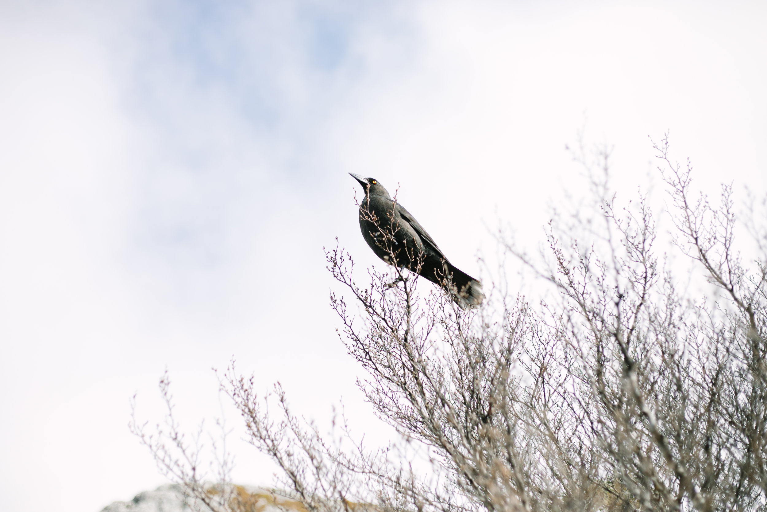 GB4A6679.jpg