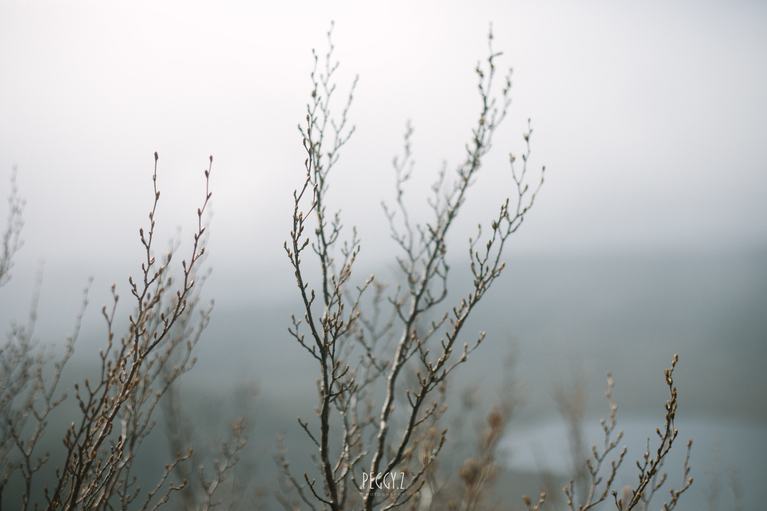 GB4A6657.jpg