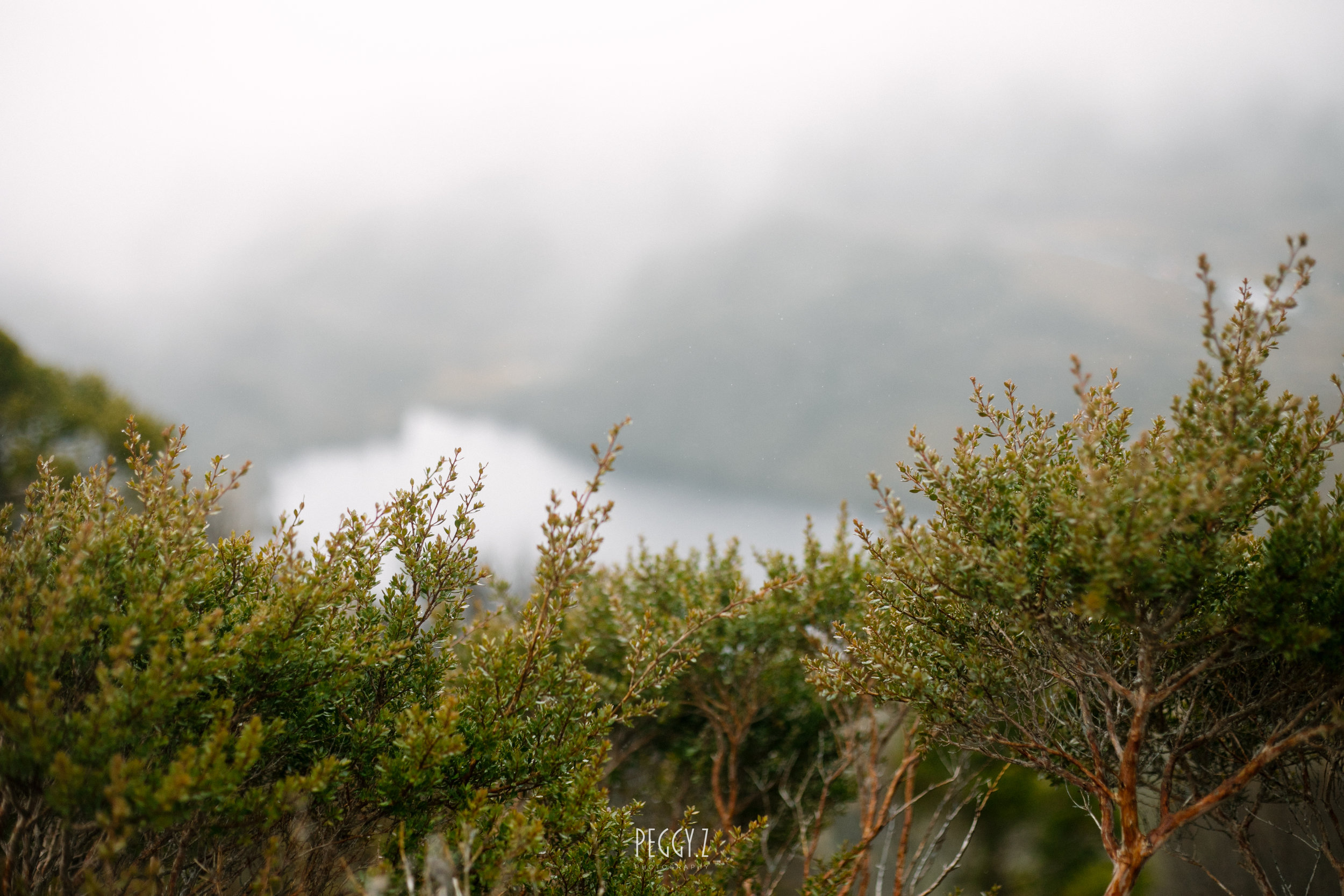 GB4A6646.jpg