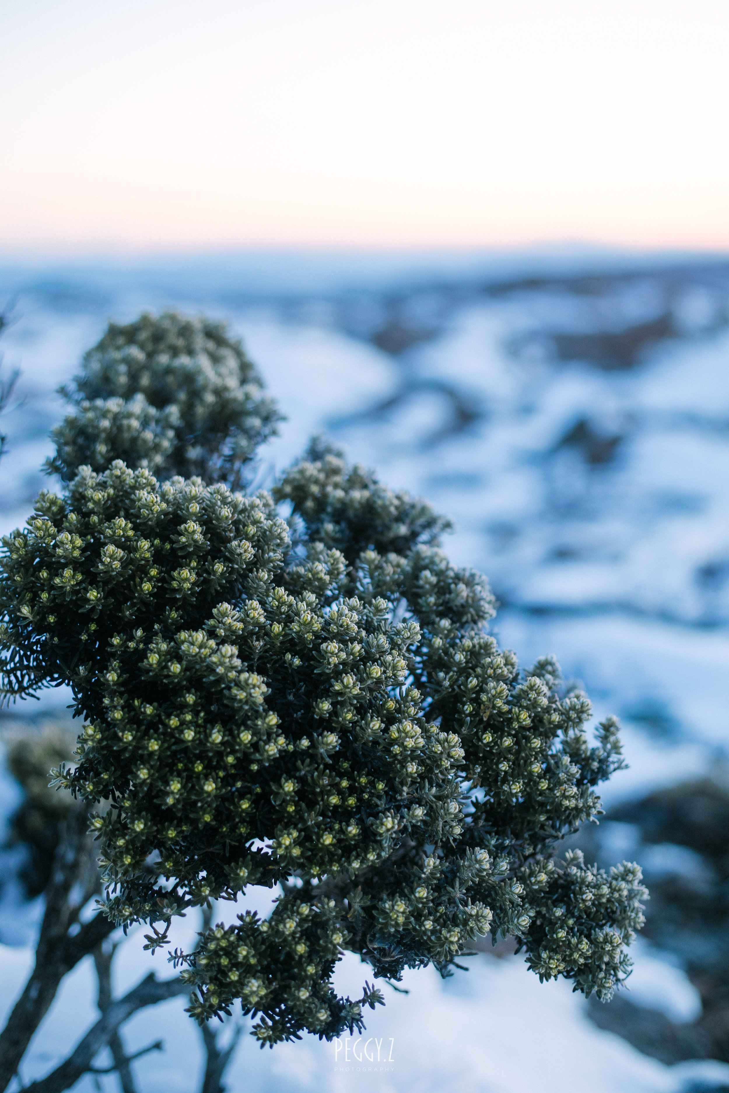 Mt wellington-22.jpg
