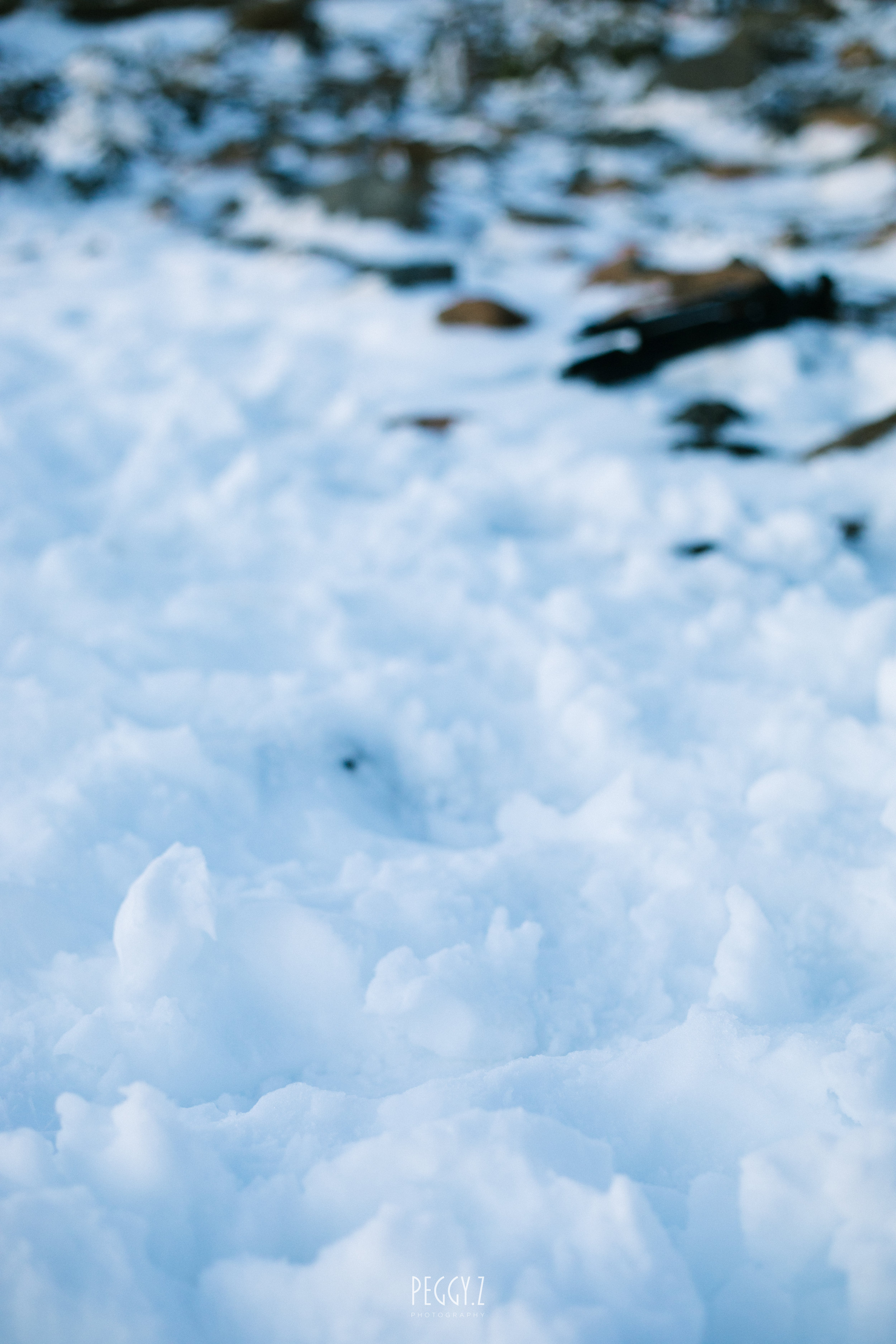 Mt wellington-20.jpg