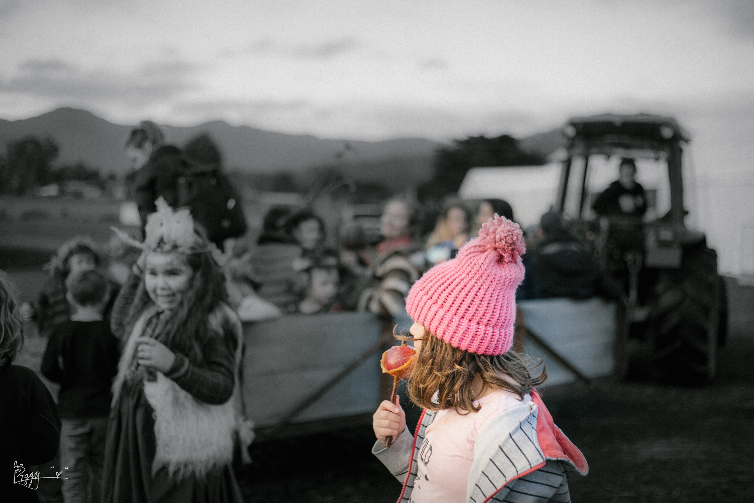 15-07-2018 mid winter feast-40.jpg