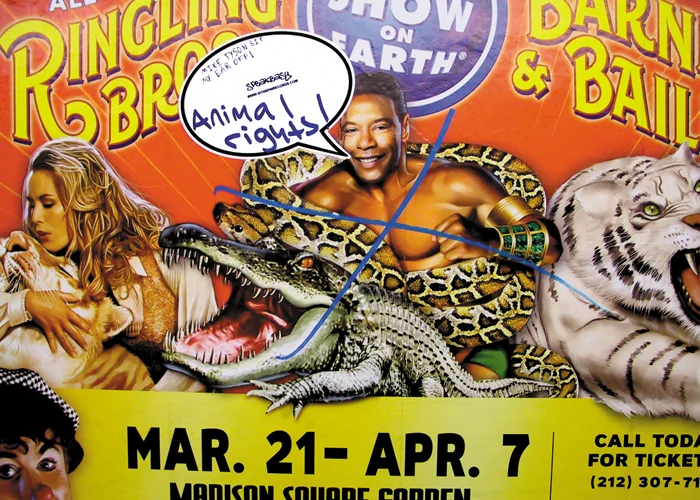 Circus-Animal Rights!.jpg
