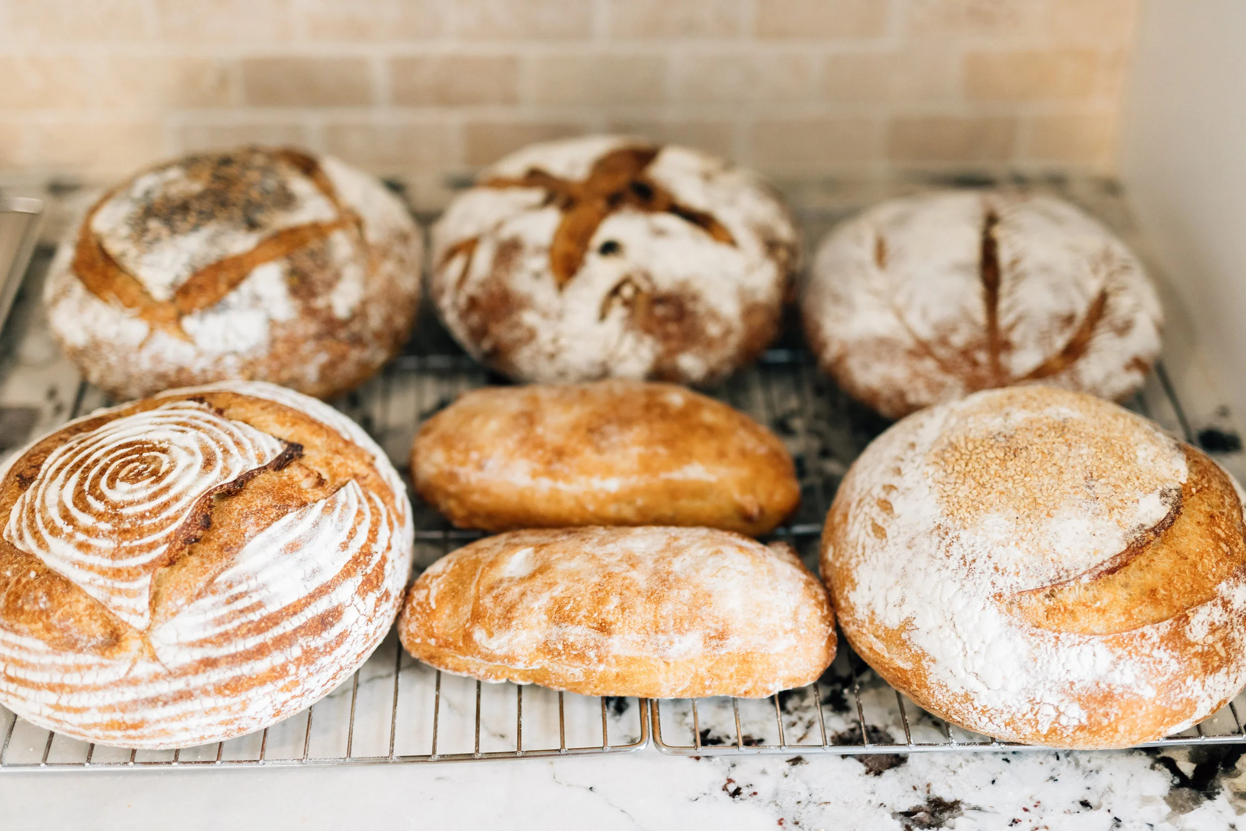 Bread session-0036.jpg