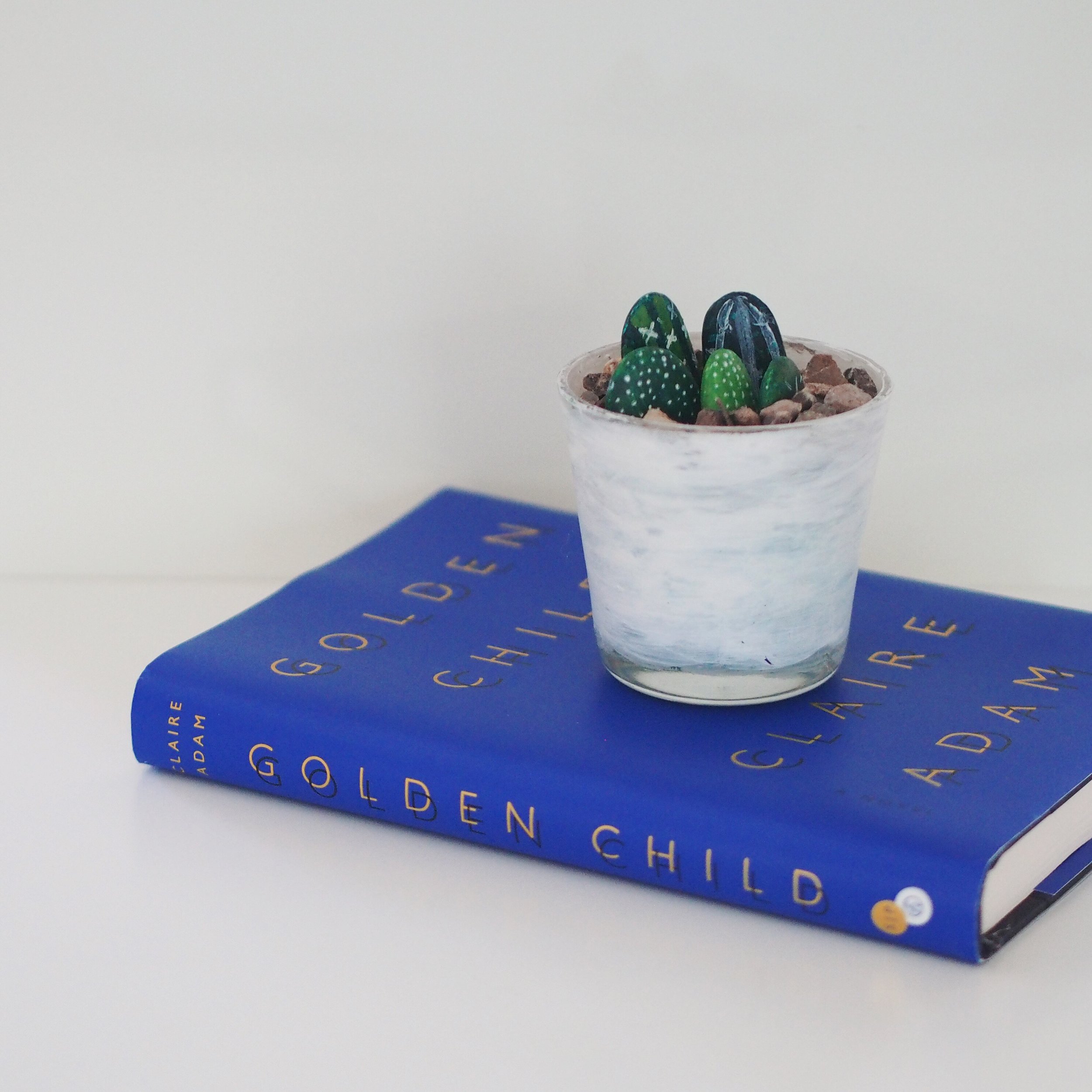 Precious and tarnished: Golden Child, by Claire Adam