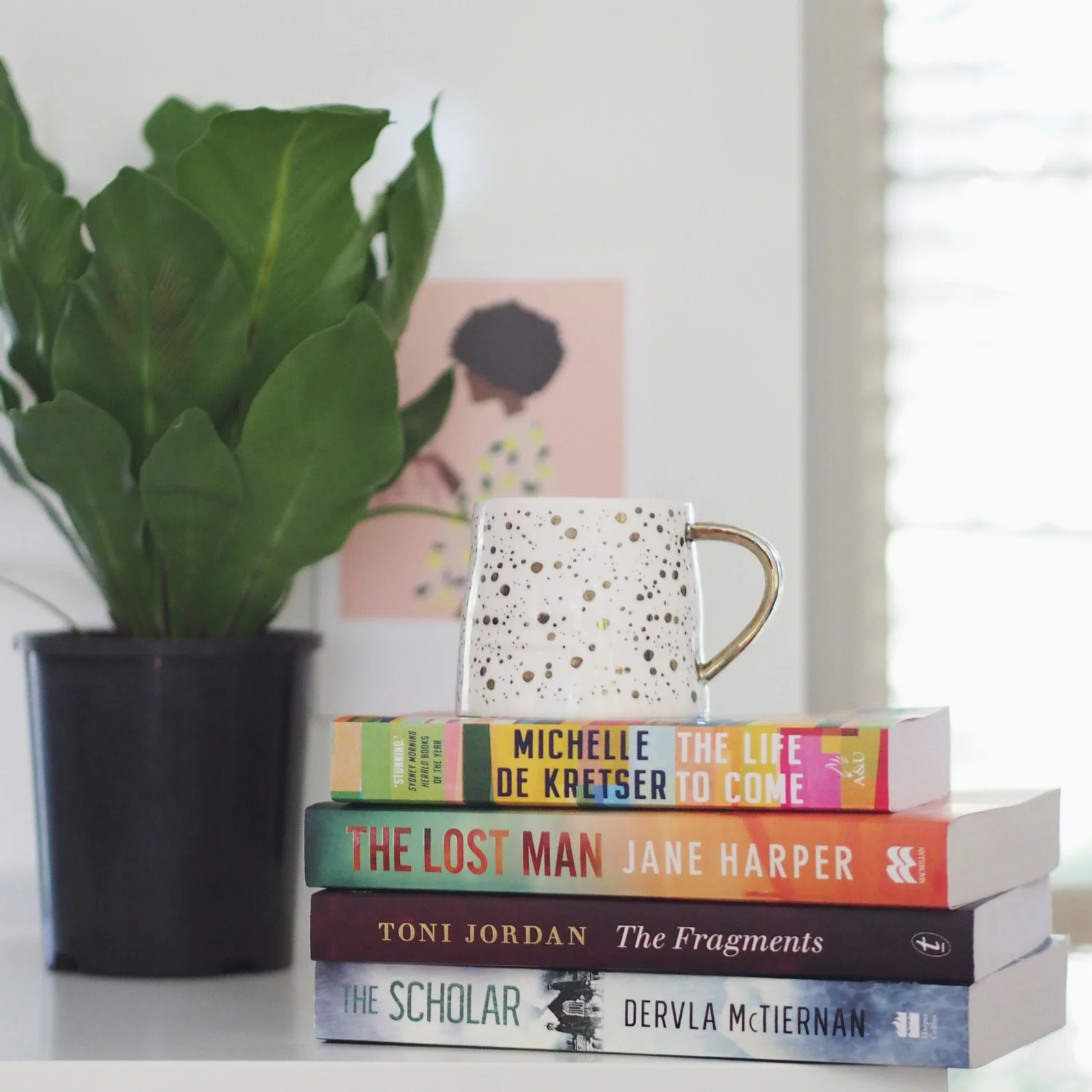 In the read-up to Sydney Writers' Festival: four must-read novels