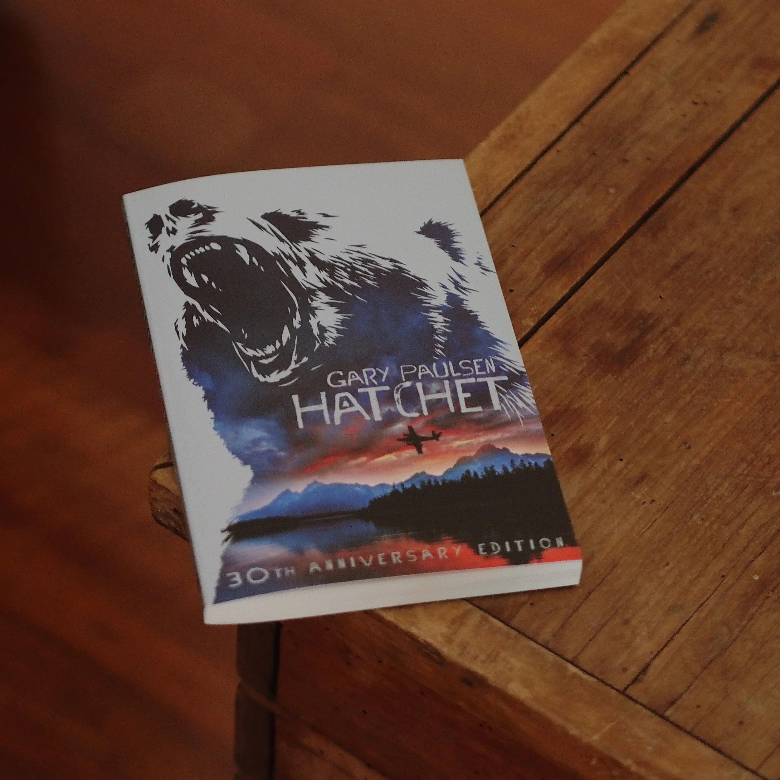 Hatchet by Gary Paulsen