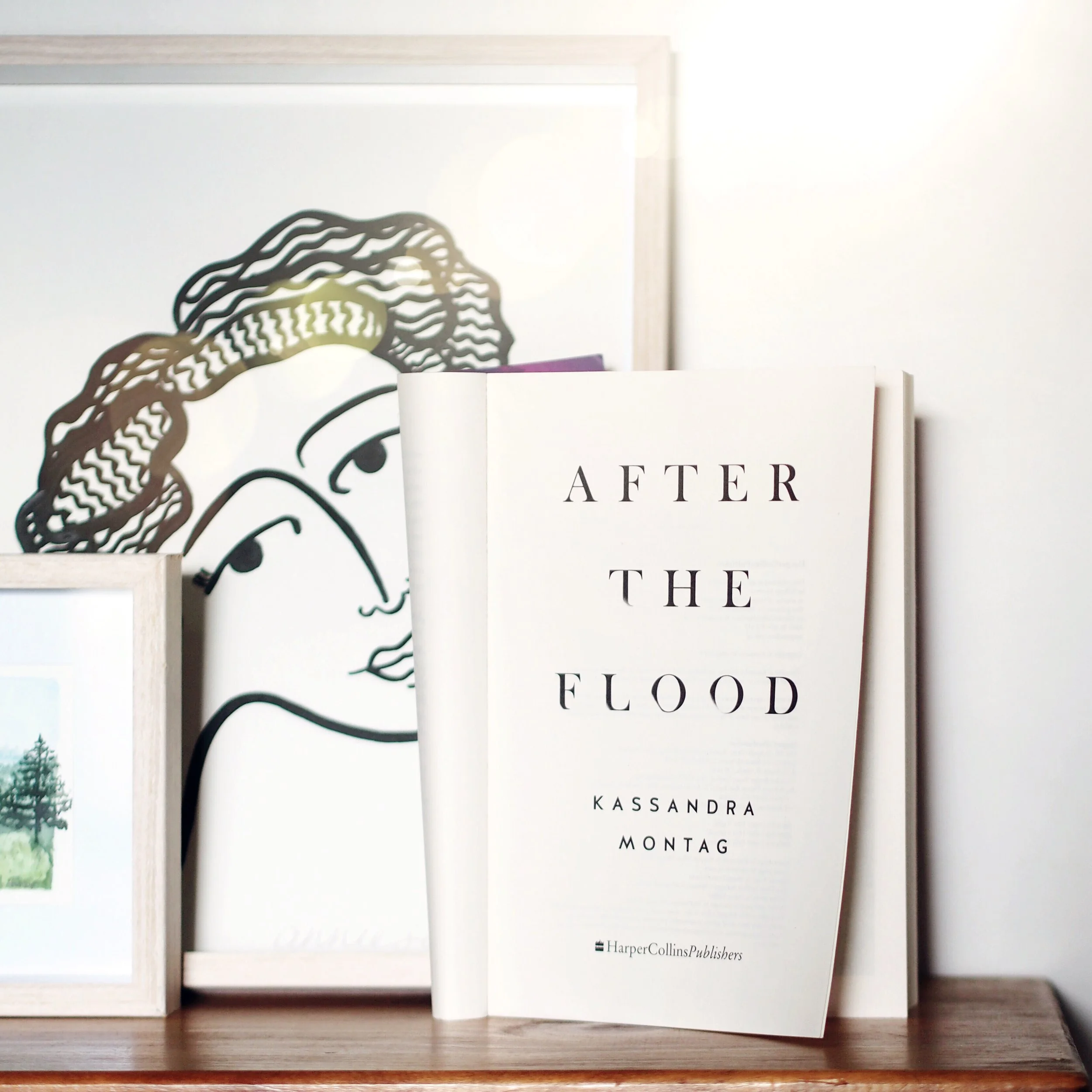 Books Read While Travelling South to Bury My Grandparents: After the Flood, by Kassandra Montag