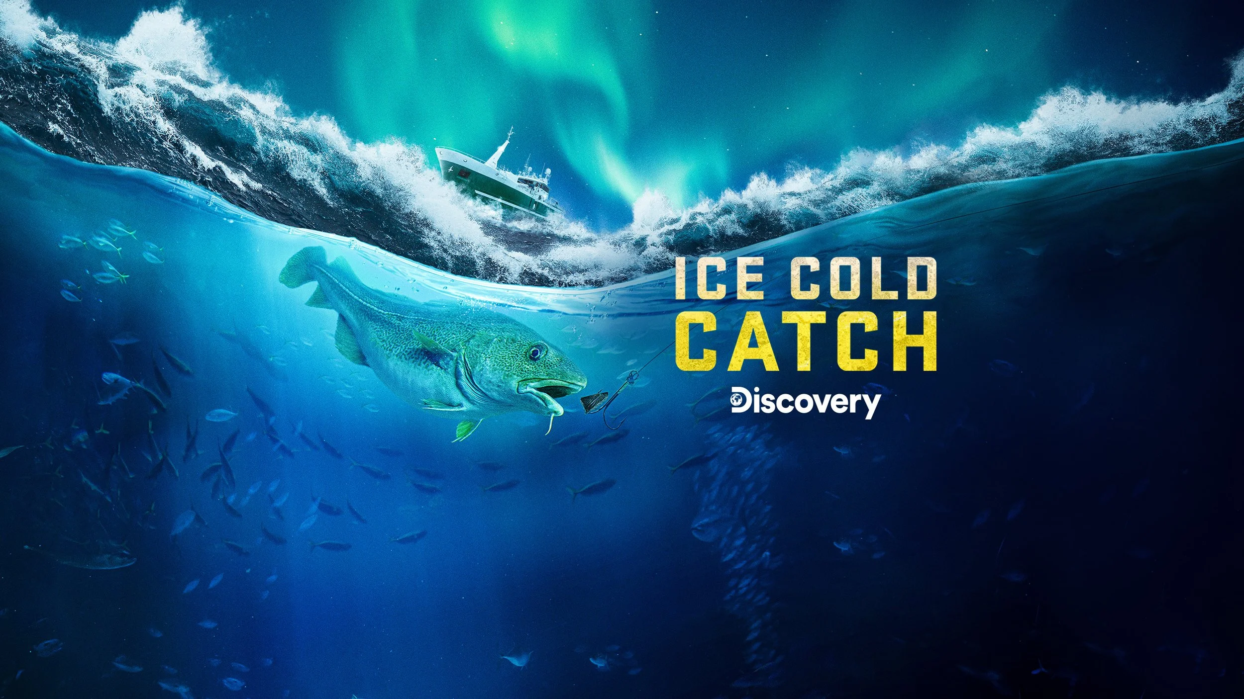 dsc_ice_cold_catch_s1_social_youtube_2560x1440_evergreen.jpg