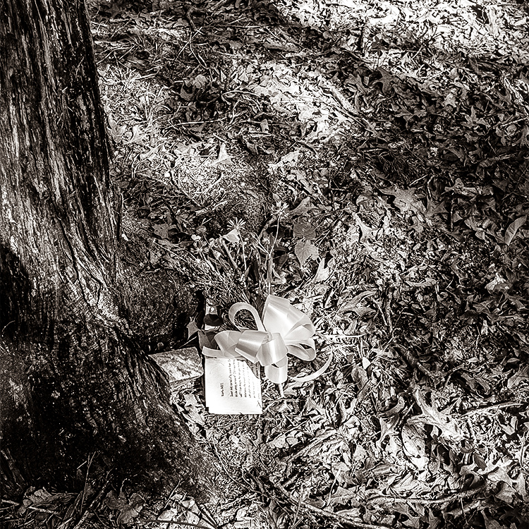 Letters to the Departed - Cagle Children