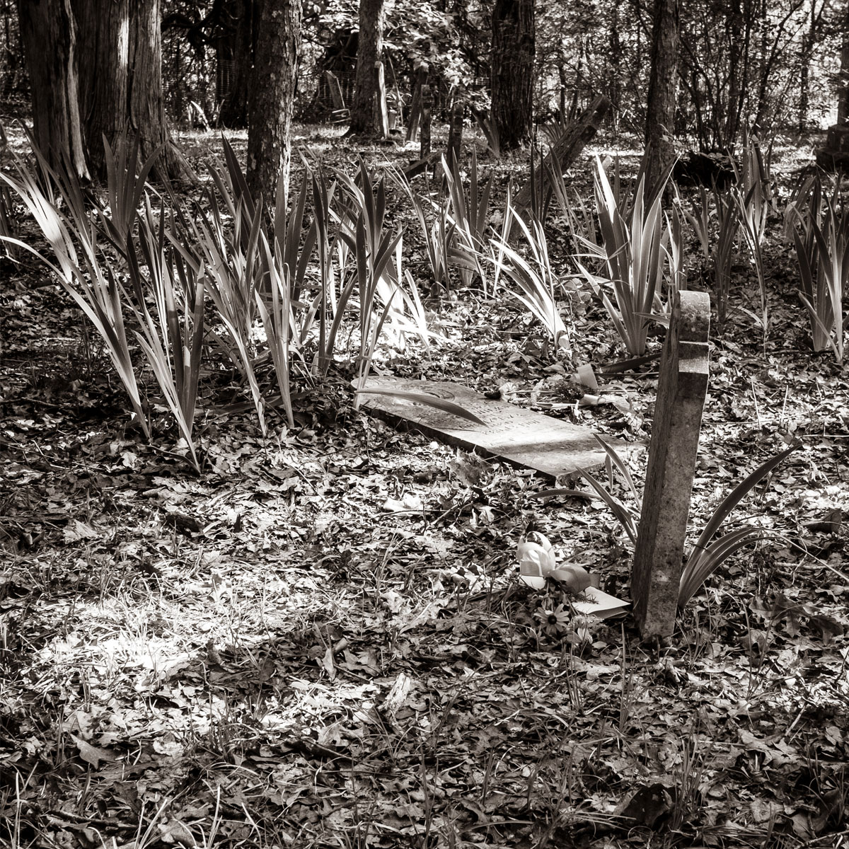 Letters to the Departed - Wilks Family