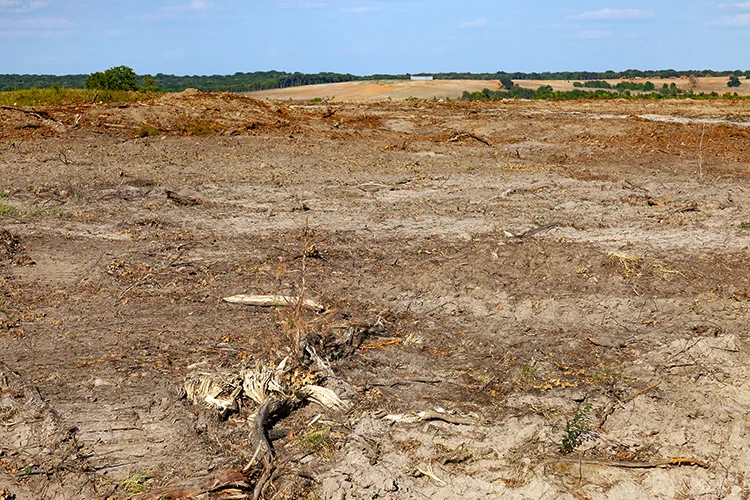 After Court on 1 Aug 2018 First sight of dam being built across from Mr Foremans land by GSC web.jpg
