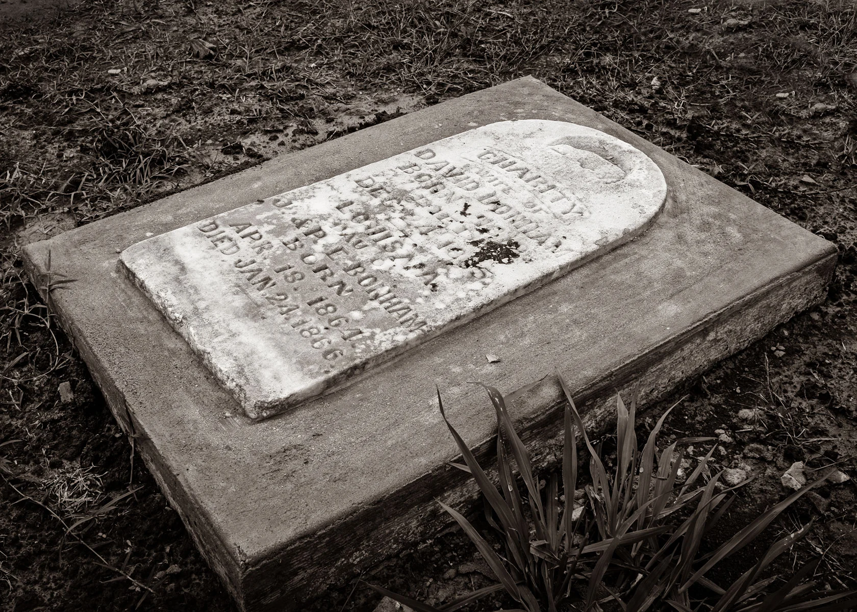 The Unidentified &amp; The Bonham Mysteries