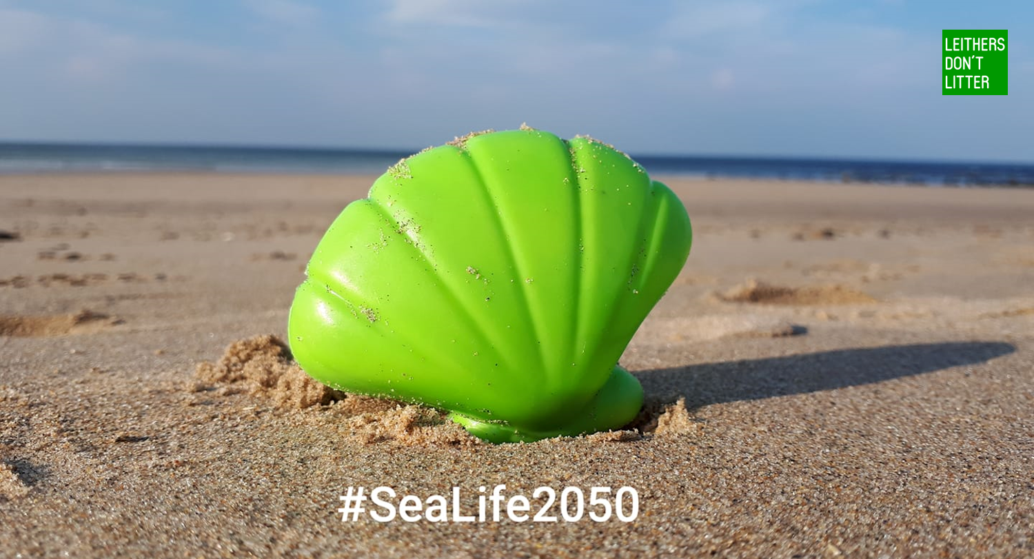 sealife2050.png