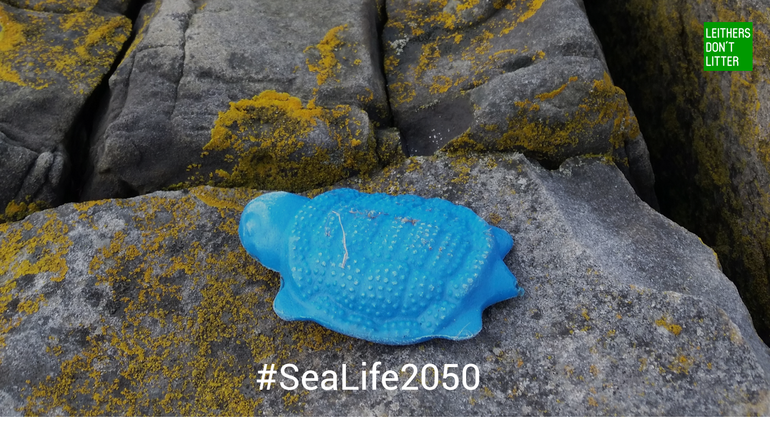 sealife2050_2.png