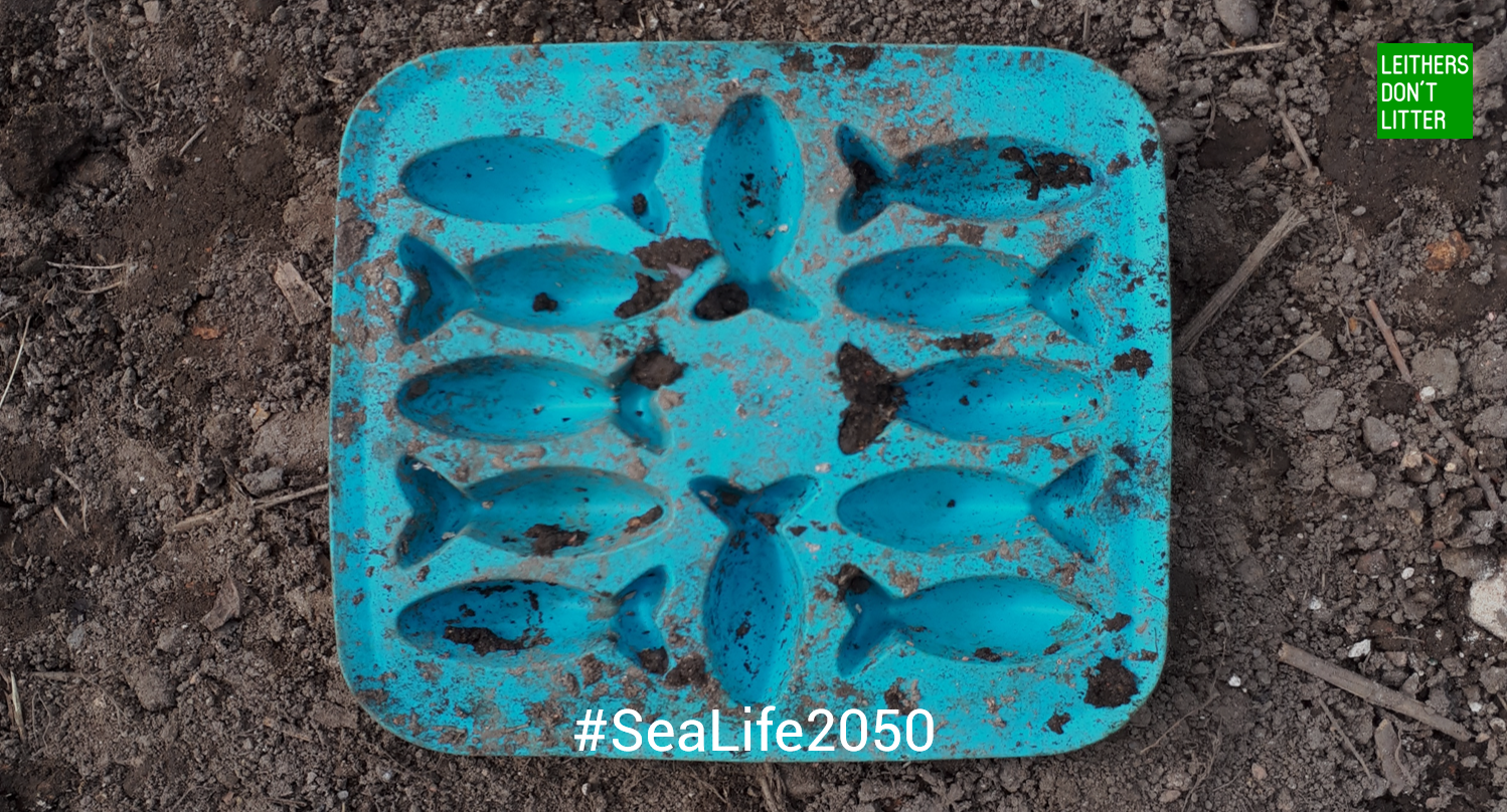 sealife2050_1.png