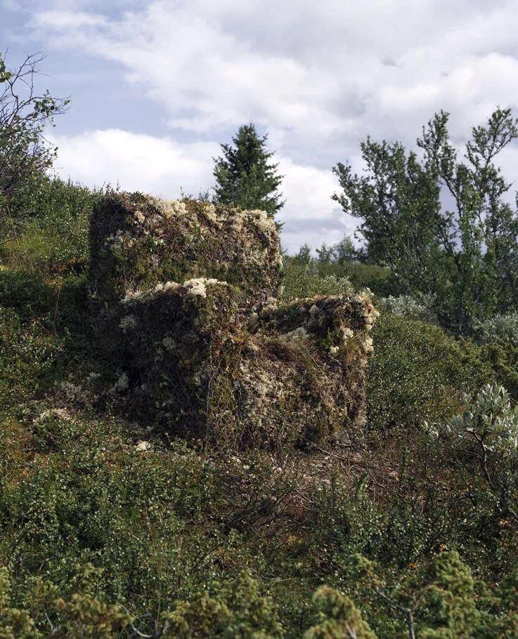 ErgoStolFronfjellet.jpg