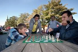 sjakk2010.jpg