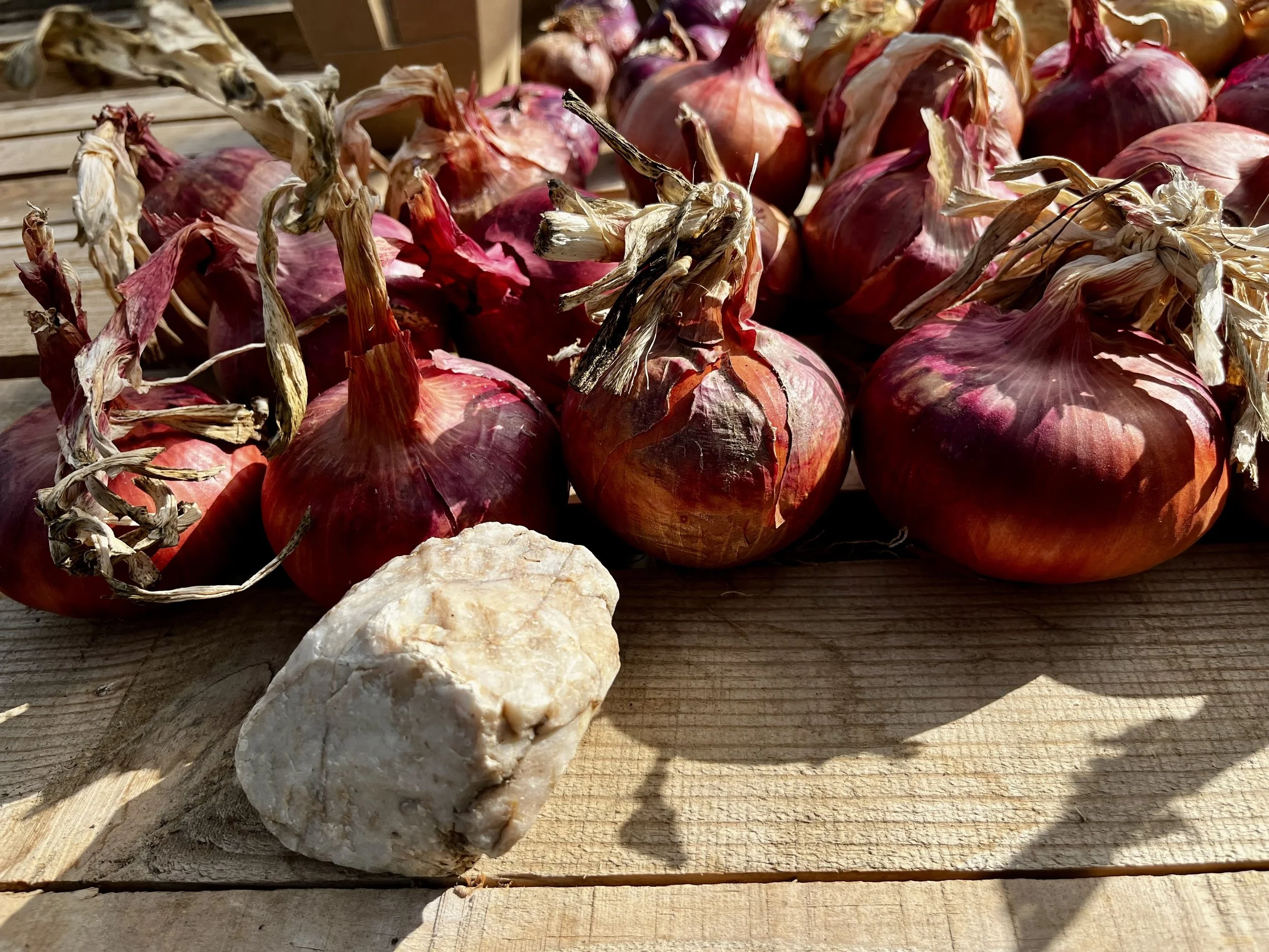 Rituals and Habits: conscious choices to slow down with Anna Jones